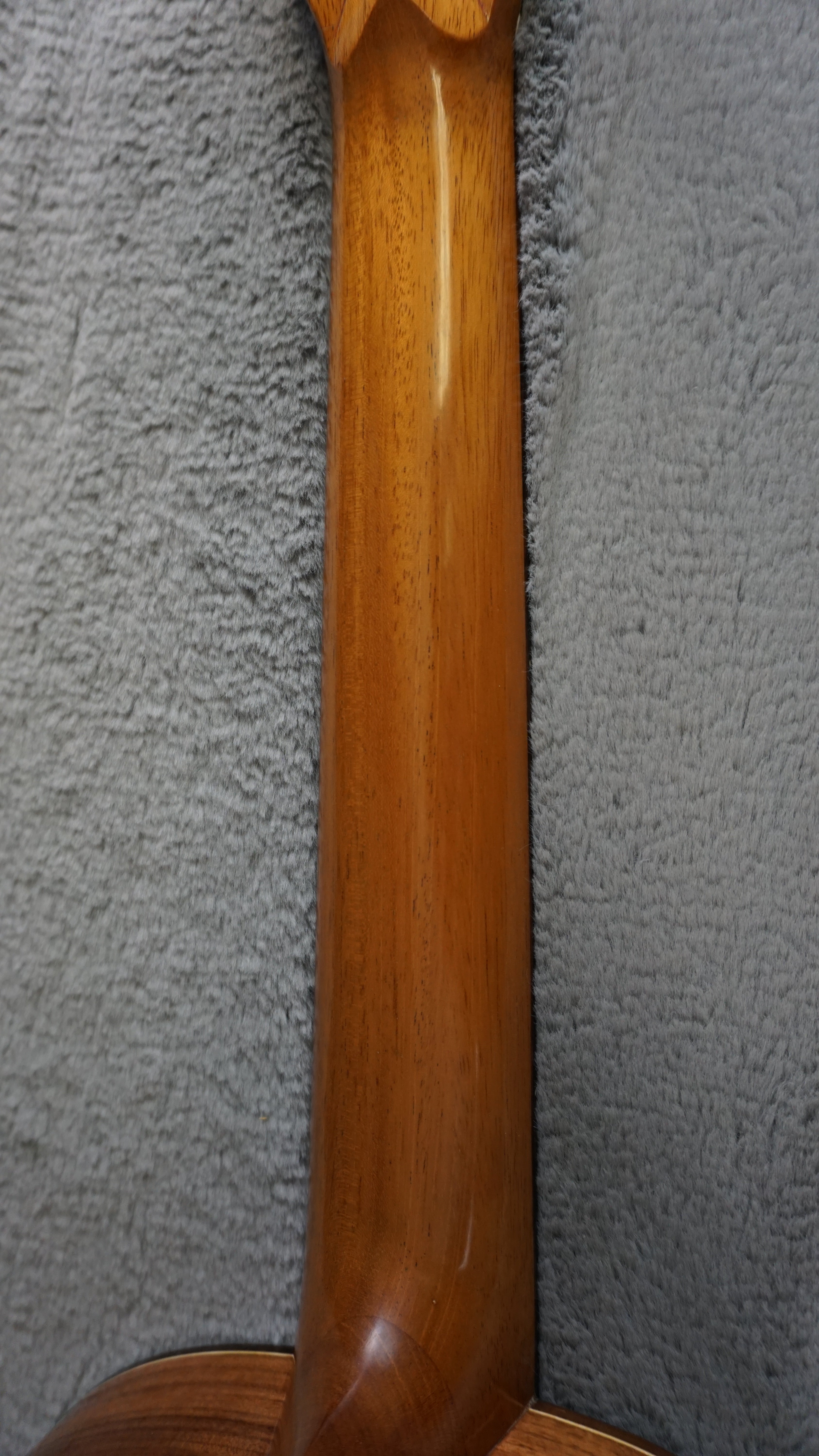 Charles Dick Parlor 2024 - Sitka Spruce/East Indian Rosewood - X Braced
