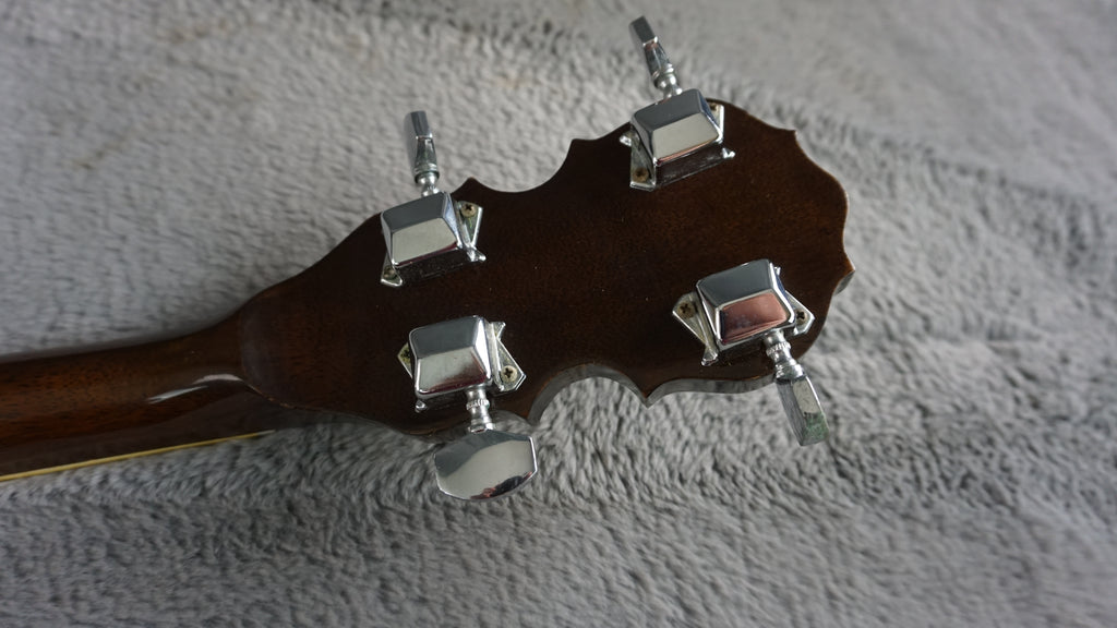 Vintage Tenesy Thumb Standard 5-String Banjo w/ Hard Case