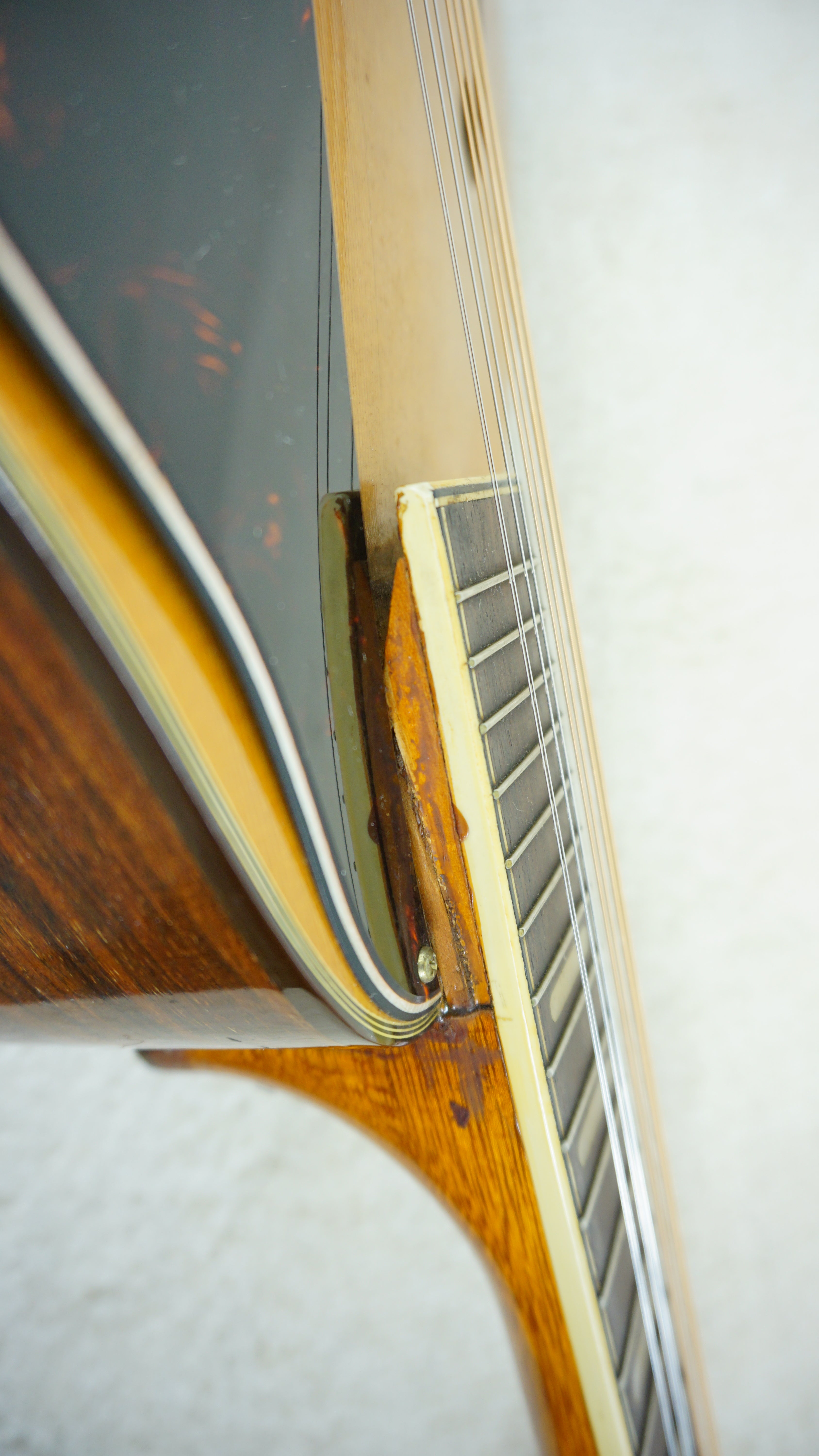 Thumb Mandolin Japan Mandolin - Natural - Neck Heel Repair