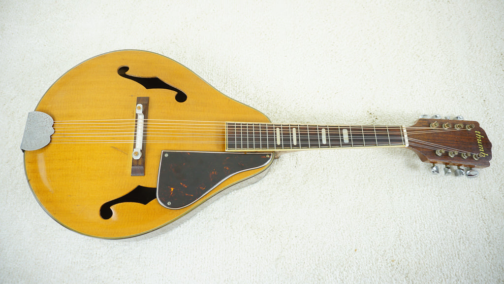 Thumb Mandolin Japan Mandolin - Natural - Neck Heel Repair