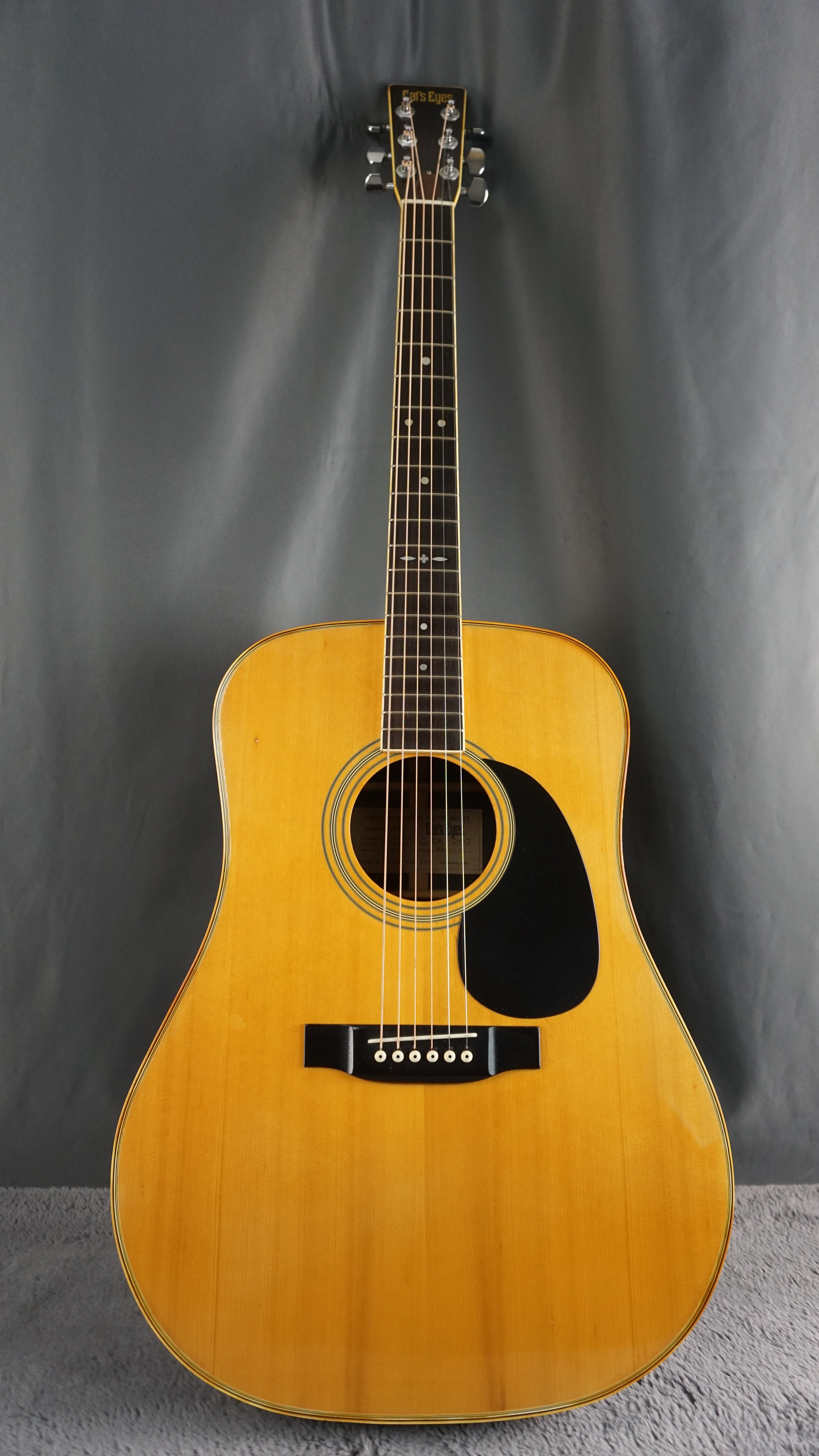 Cat’s Eyes CE-250 MIJ Dreadnought Acoustic Guitar w/ Hard Case