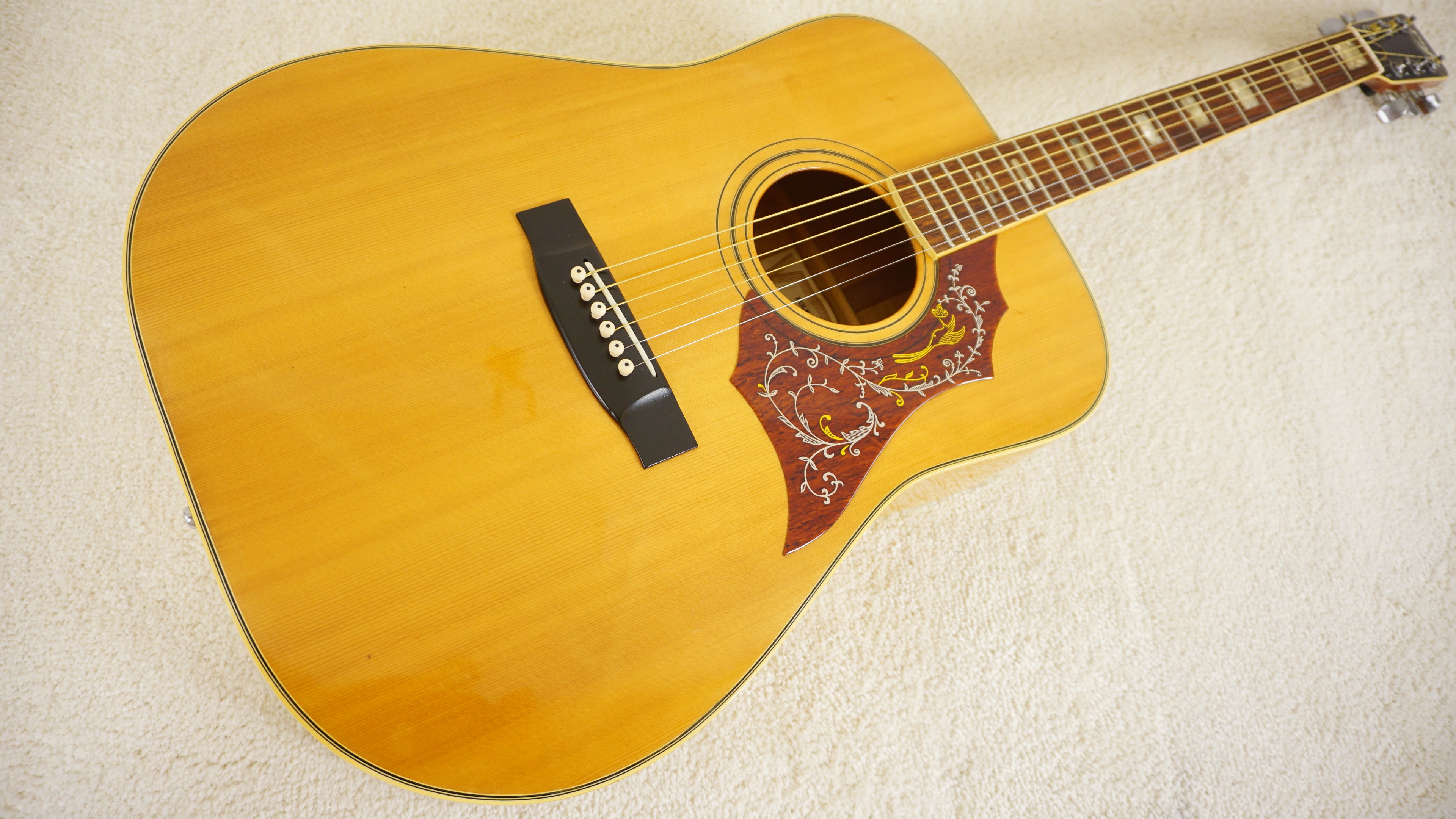 Roje 250 MIJ Dreadnought Acoustic Guitar by Zen-On Gakufu Japan