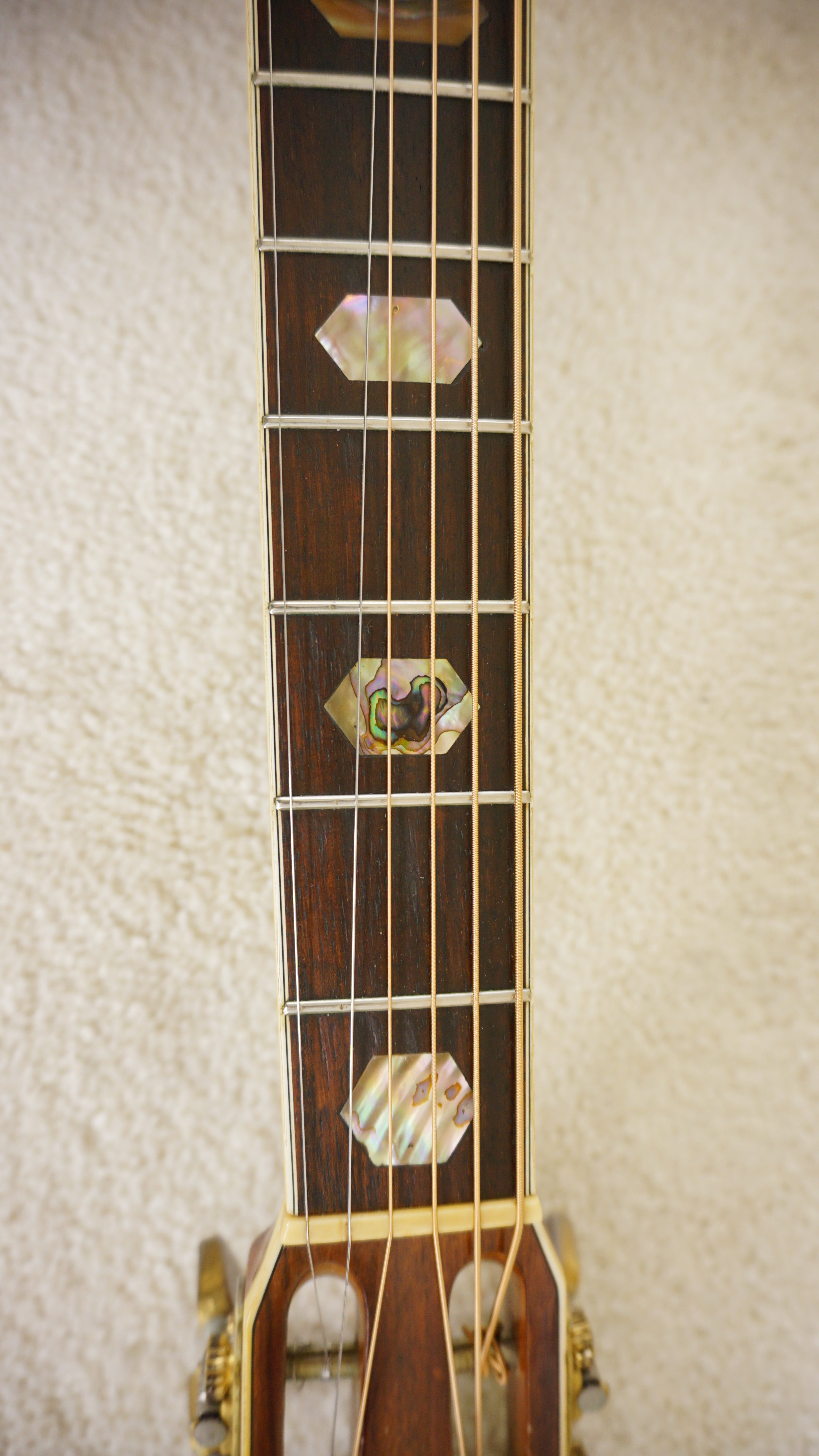 Yamaki FP-50 Japan Folk Acoustic