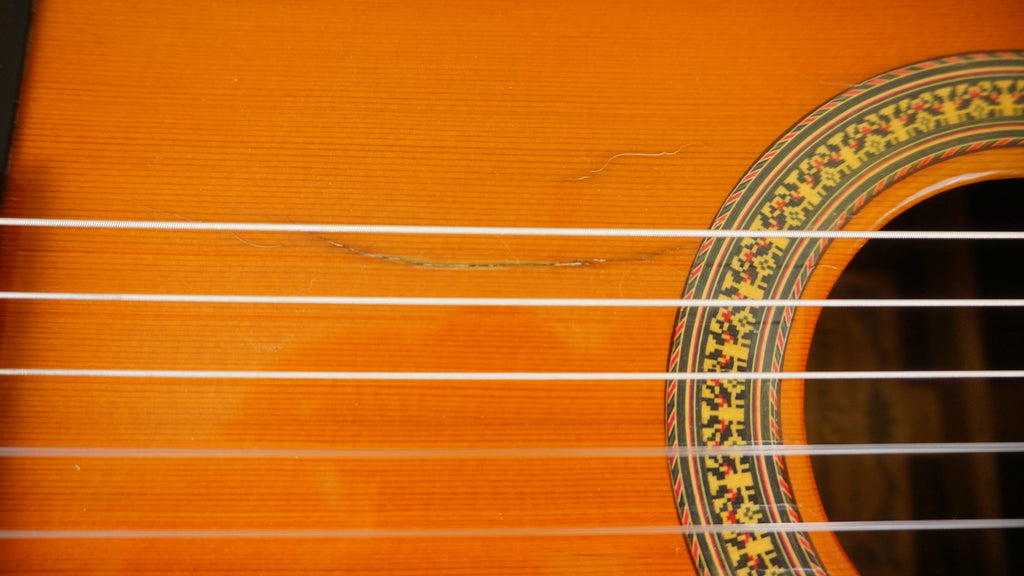 Hiroshi Tamura P-45 Ramirez Style Concert 1973