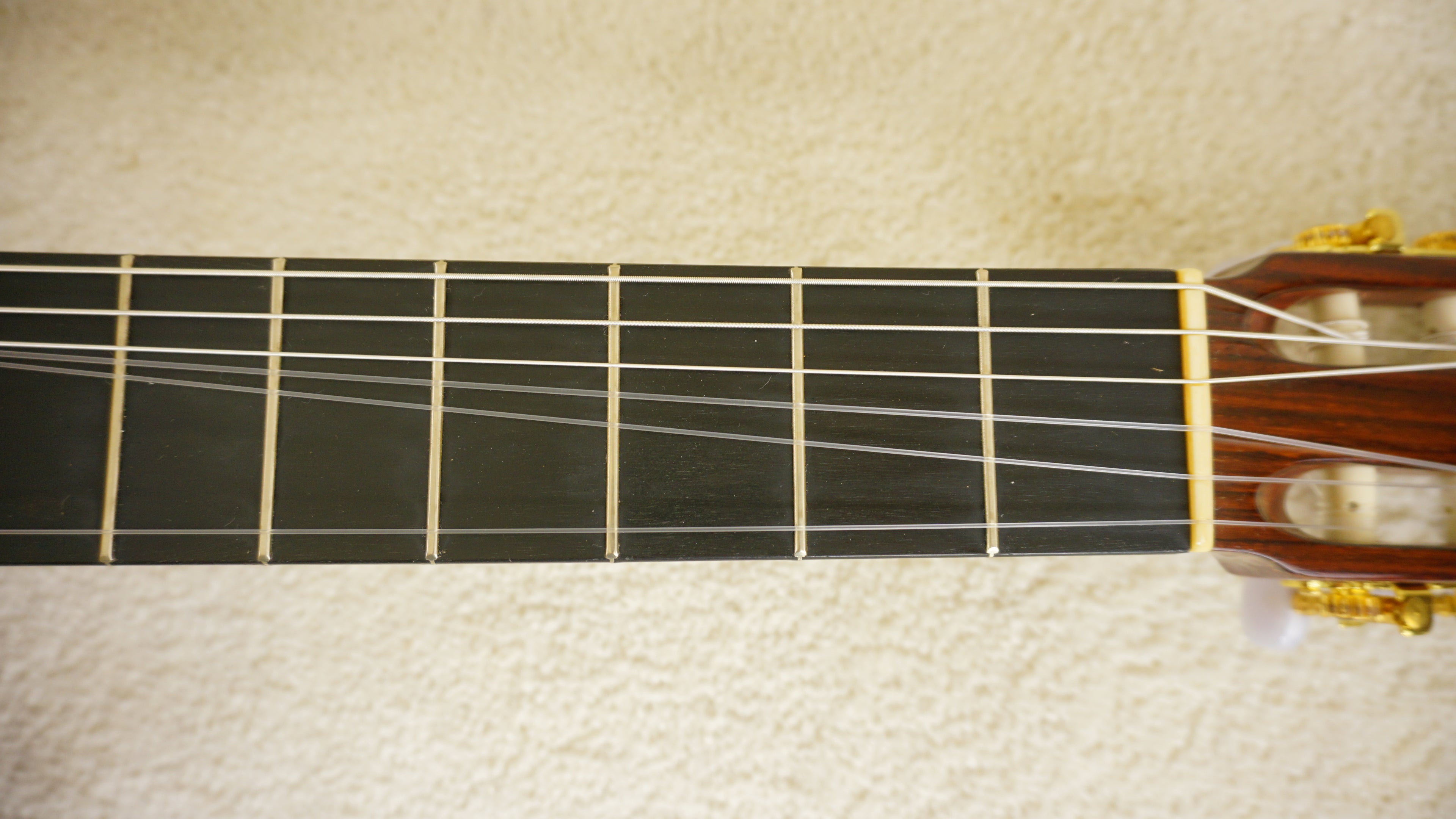 Hiroshi Tamura P-45 Ramirez Style Concert 1973