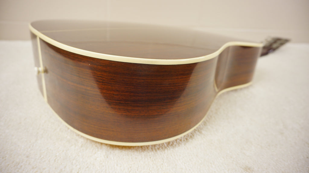 Stafford SF-600 Dreadnought Acoustic Guitar MIJ Natural