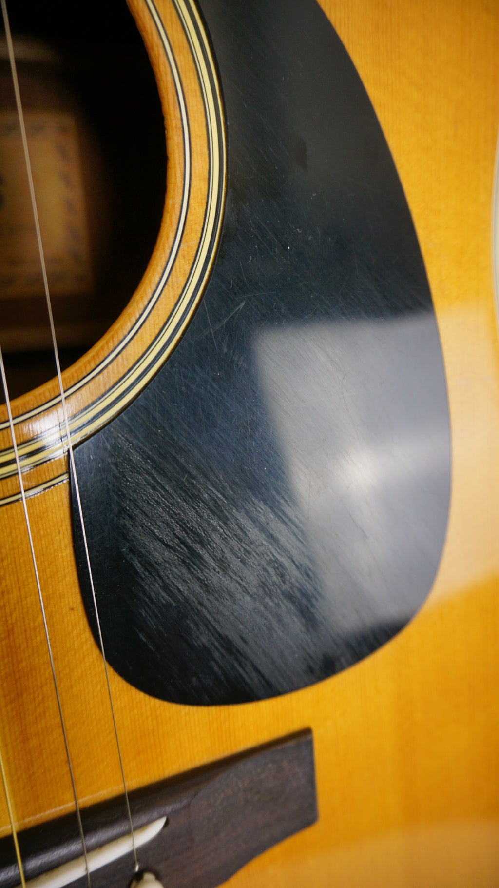 1973 Morris W-20 Terada Vintage MIJ Dreadnought Acoustic