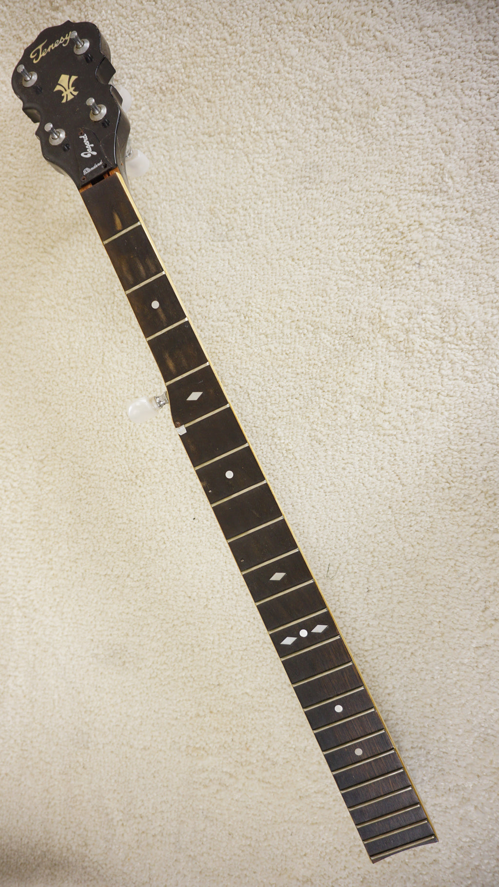 Vintage 1970s Tenesy Jagard 5-String Banjo Terada MIJ Project Repair w/ Case