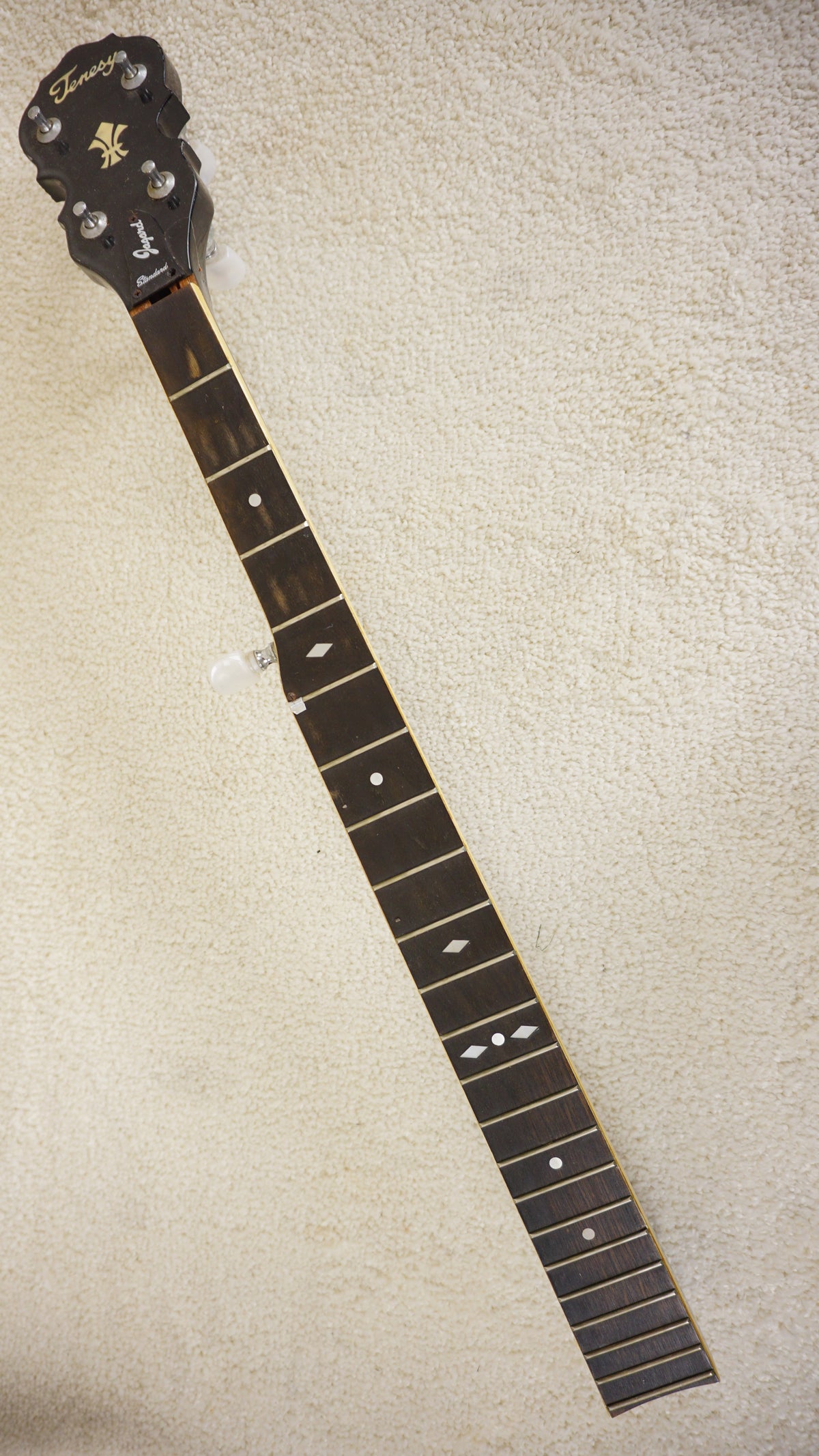 Vintage 1970s Tenesy Jagard 5-String Banjo Terada MIJ Project Repair w/ Case