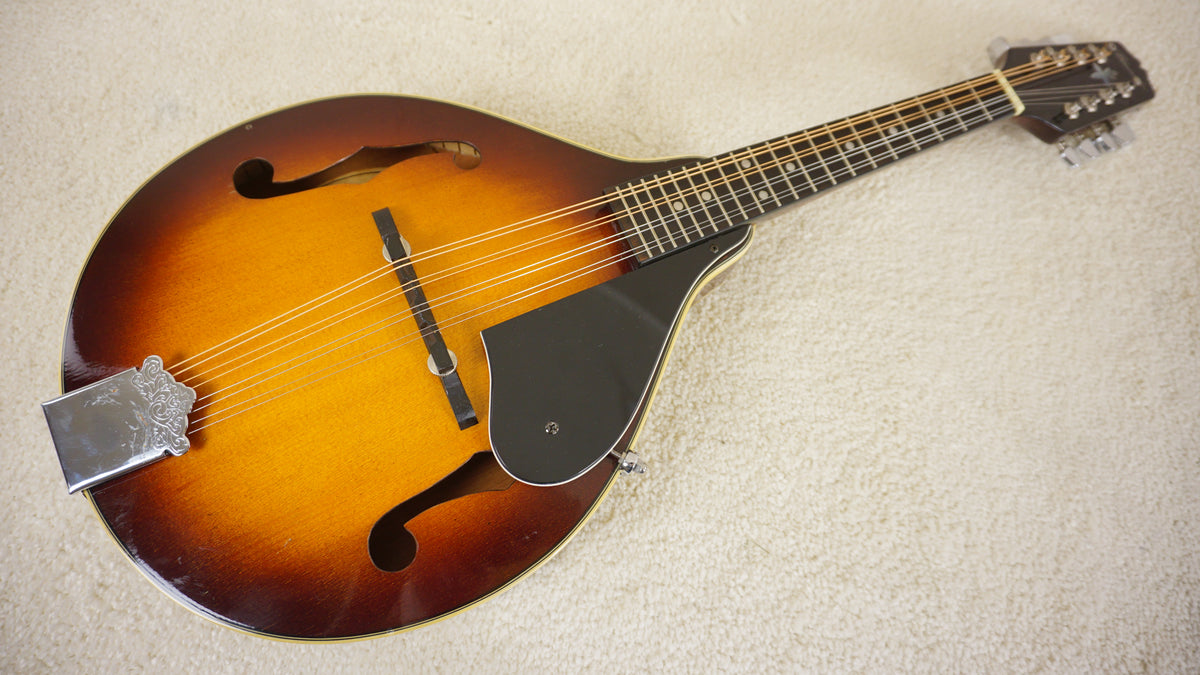 Vintage Blueridge BM300F A-Style Mandolin Sunburst MIJ Era