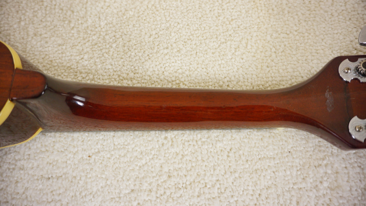Vintage Blueridge BM300F A-Style Mandolin Sunburst MIJ Era