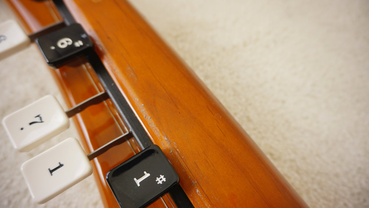 Suzuki Kohaku Alto CHK-3 Electric Taishogoto 2005 Deep Bass Nagoya Harp