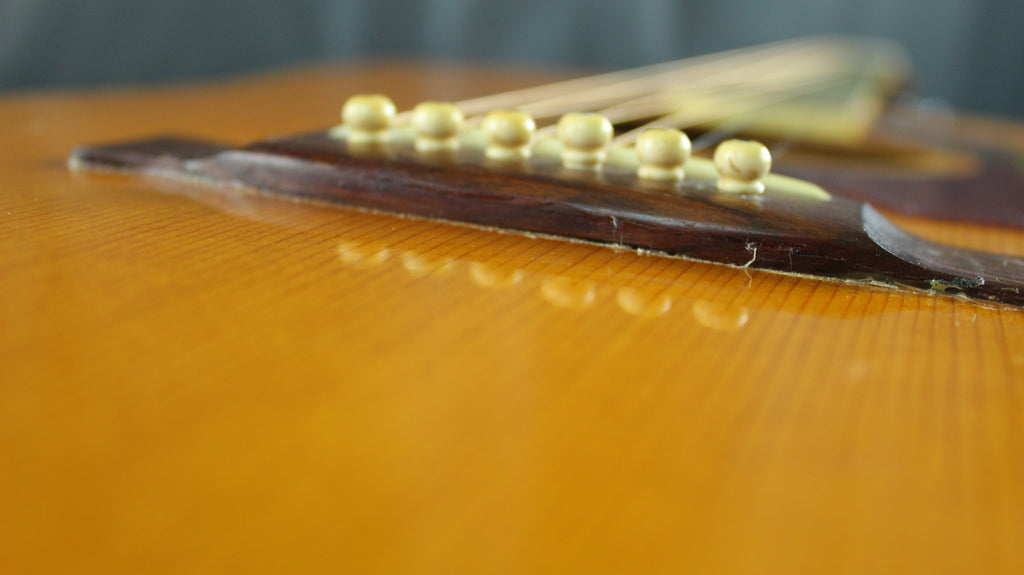 Roje by Zen-On 250 Hummingbird Style Acoustic Japan