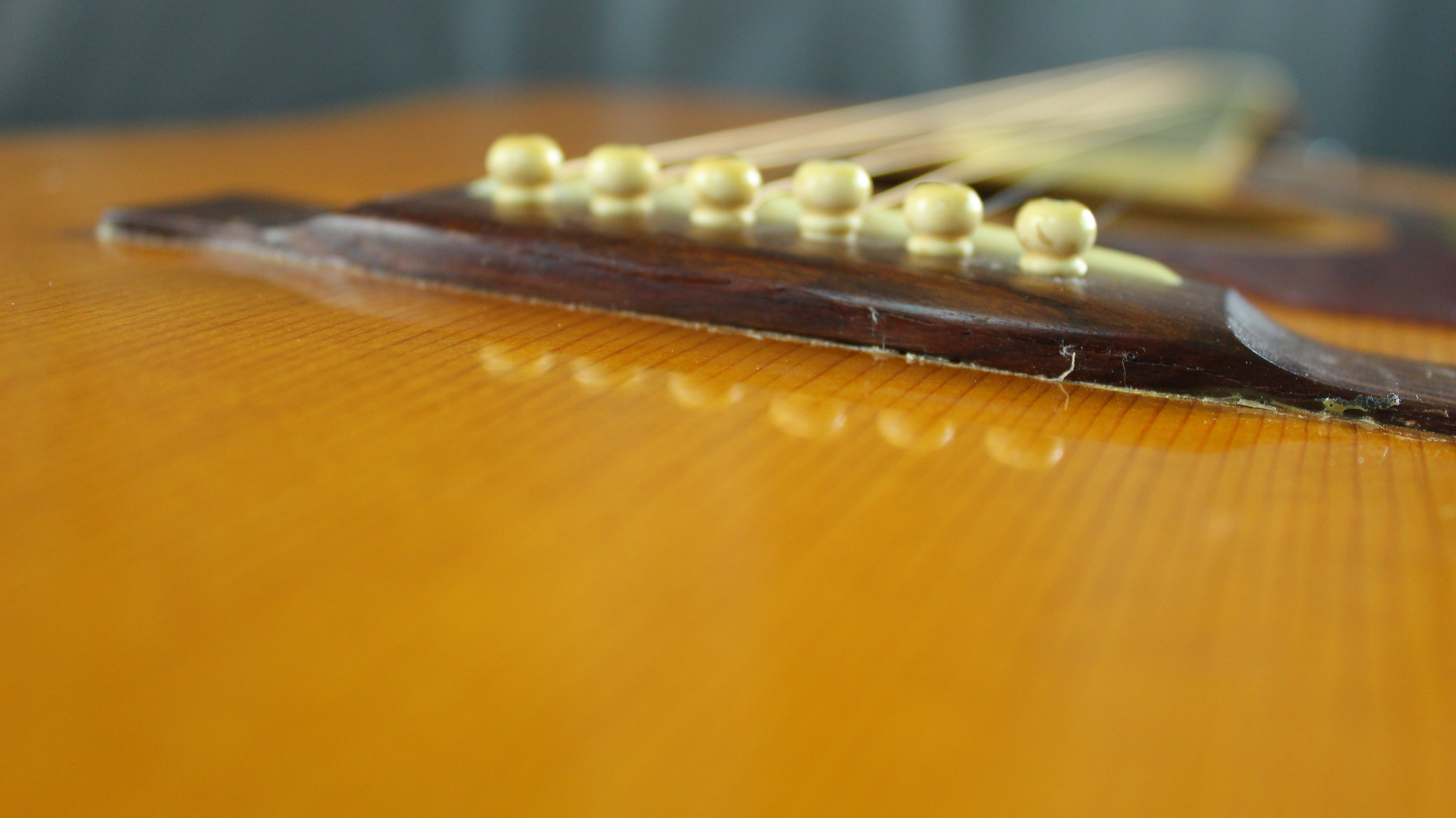 Roje by Zen-On 250 Hummingbird Style Acoustic Japan