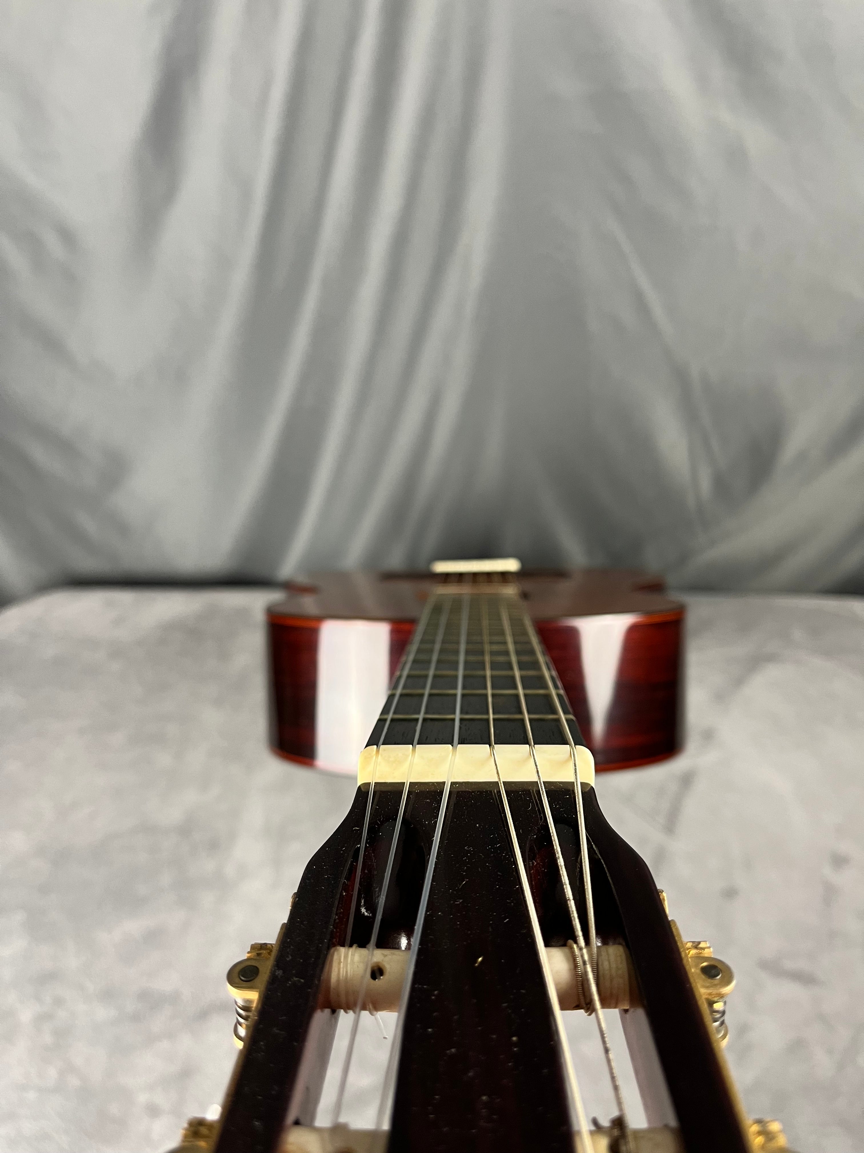 Hiroshi Tamura P-60 Guitar MIJ 1975