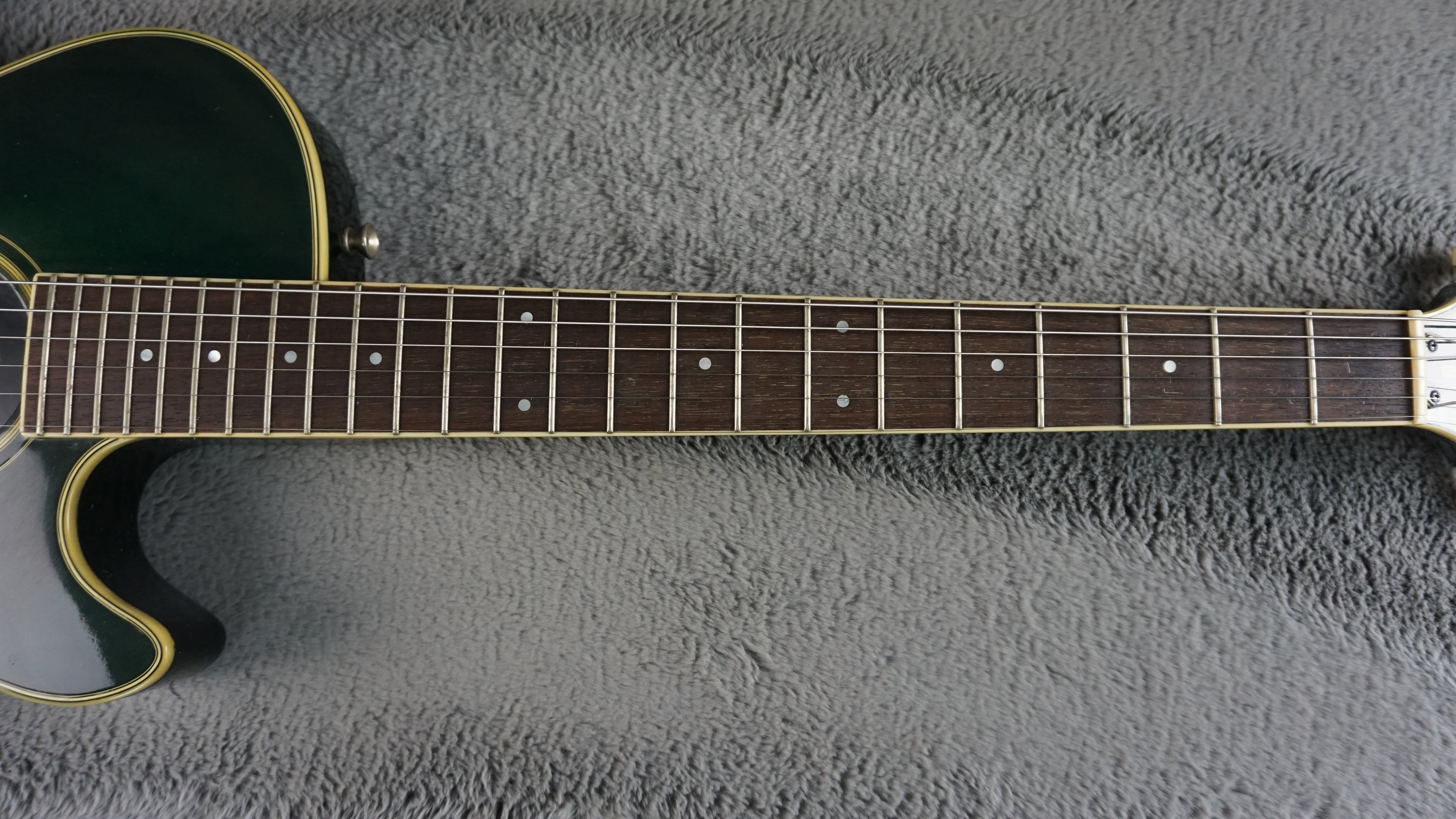 Morris Groovin' - Green - Japan Acoustic Guitar