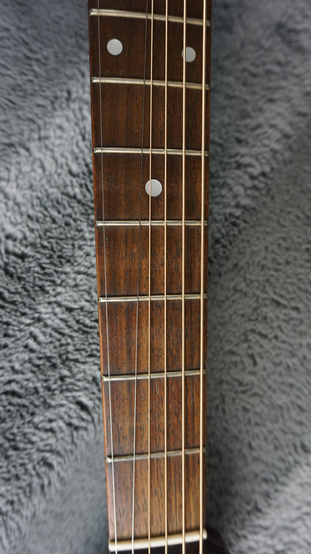 Daion D-B-55-TSB - Tobacco Sunburst Japan