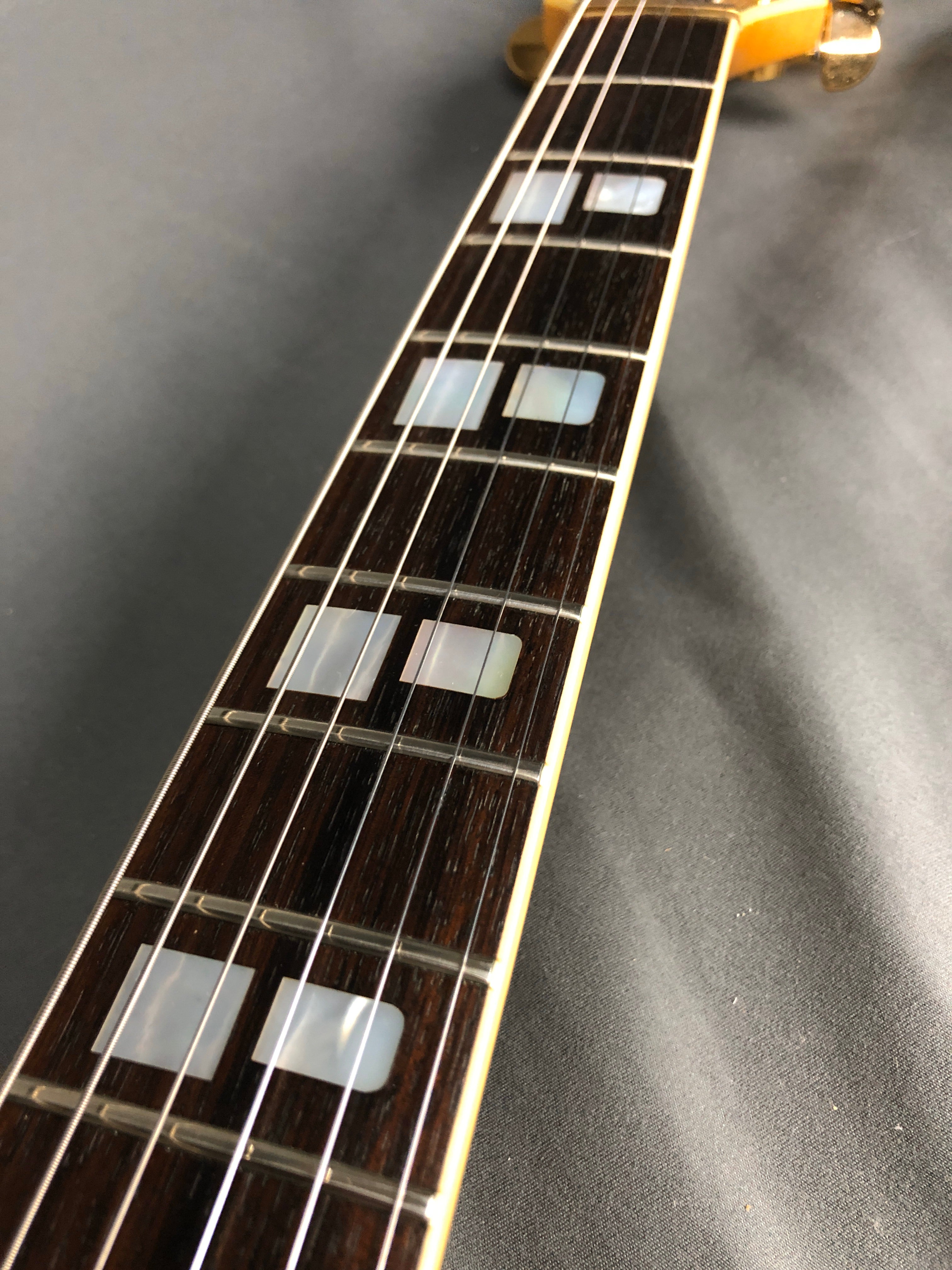 Polytone Contempo G 1980