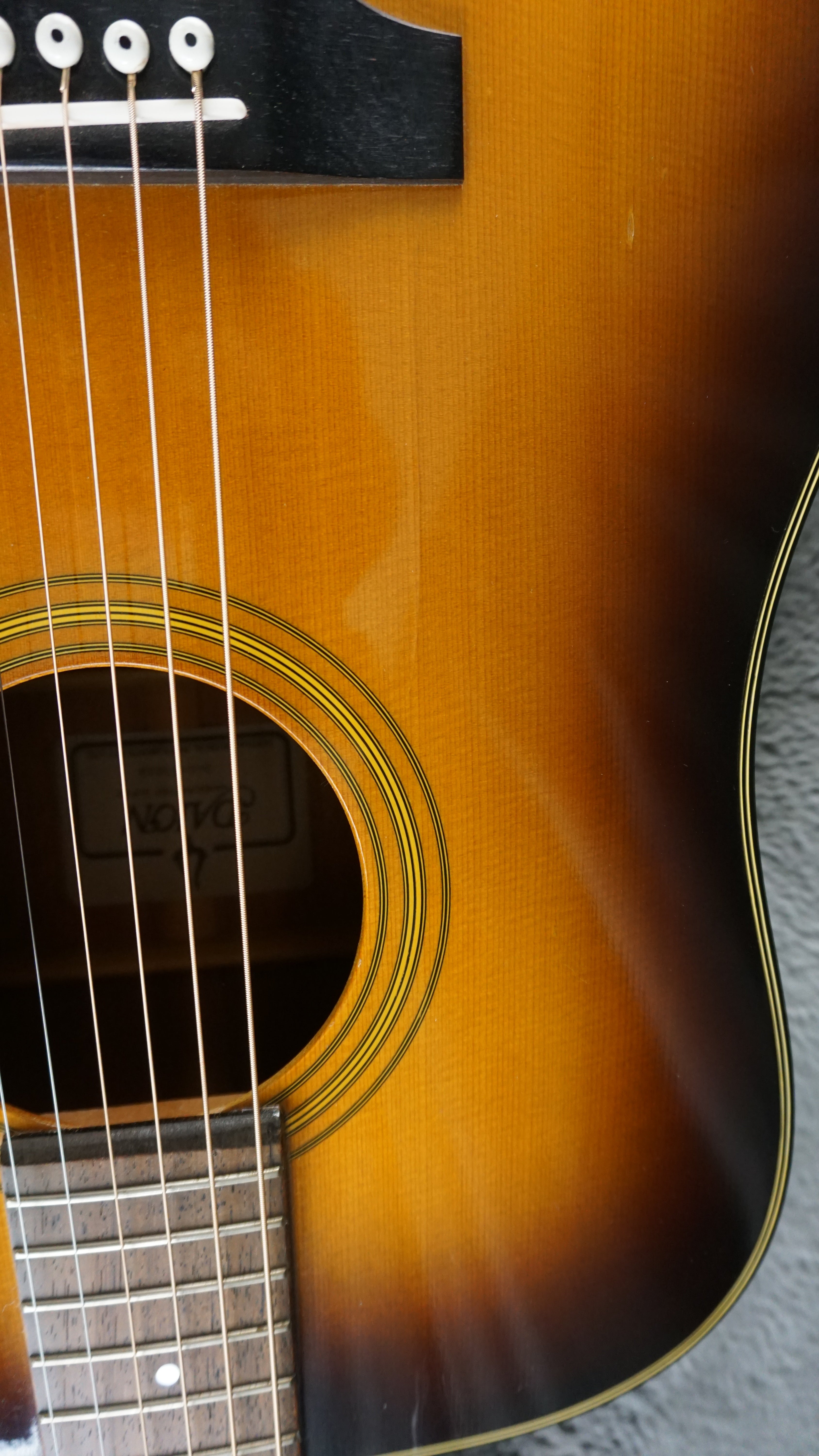 Daion D-B-55-TSB - Tobacco Sunburst Japan