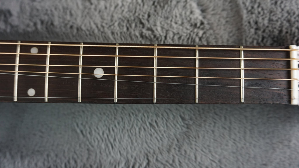 Westone F-13 Japan Acoustic