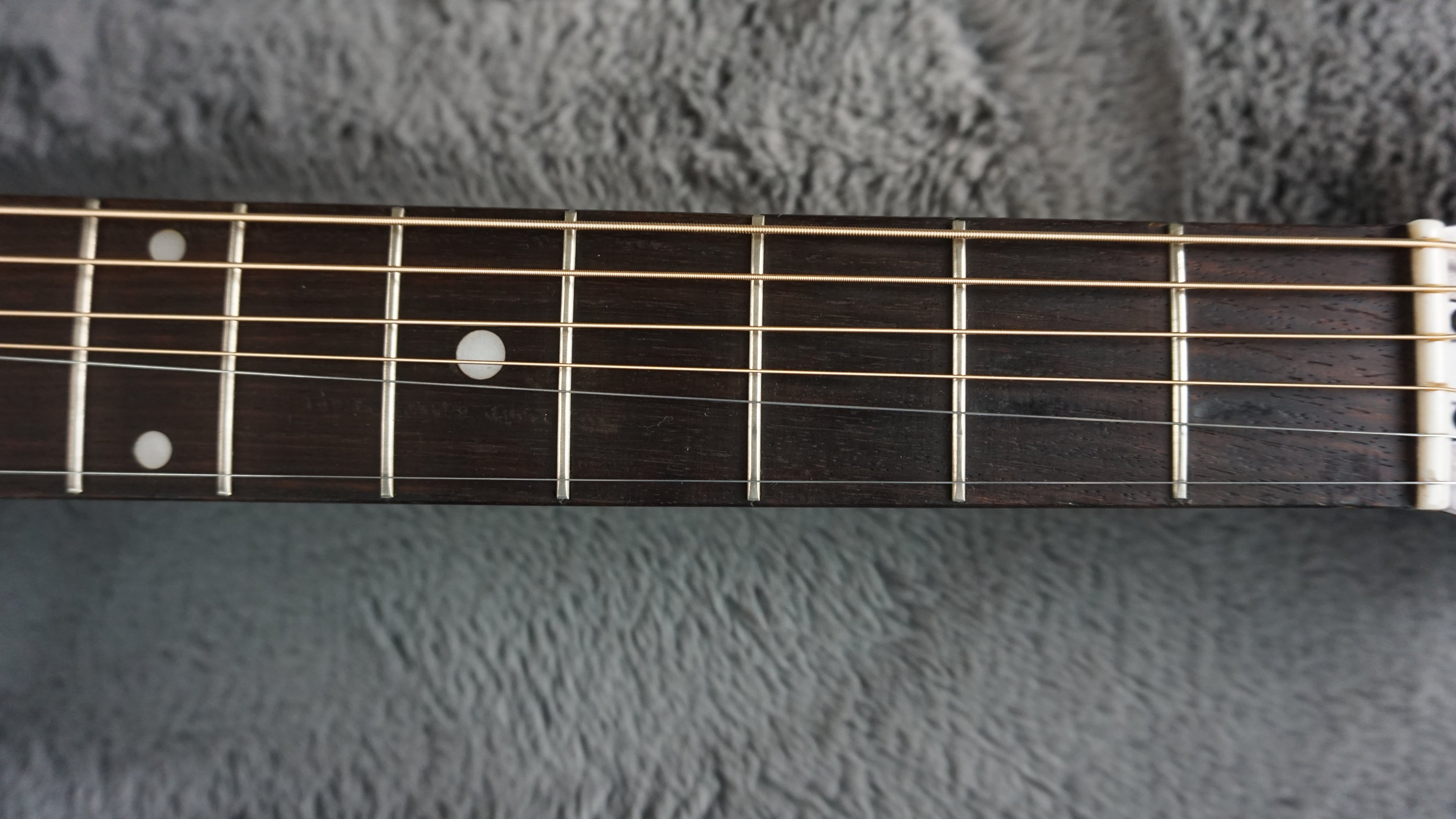 Westone F-13 Japan Acoustic