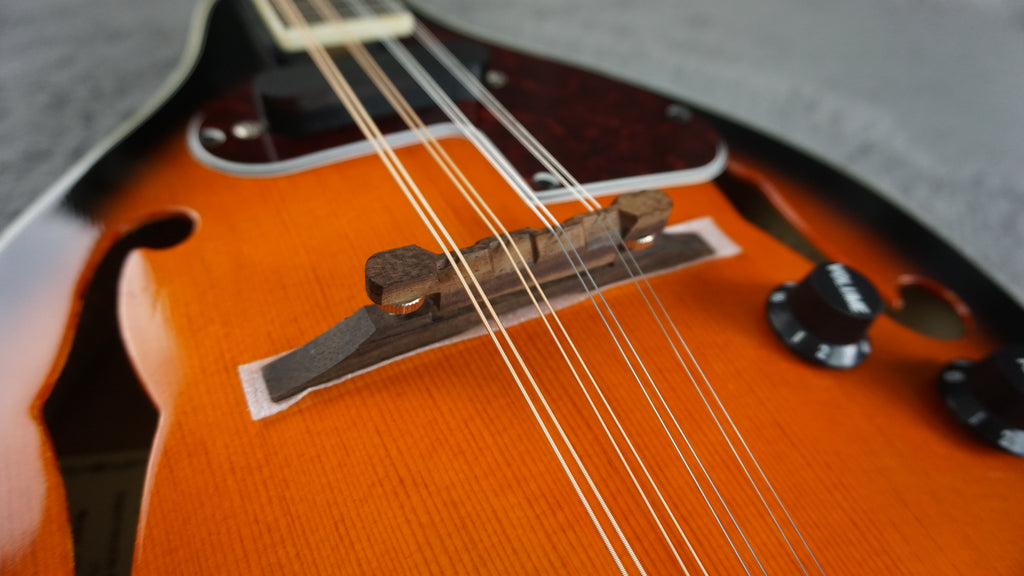 Aria AM-20E Japan Mandolin w/ Hard Case