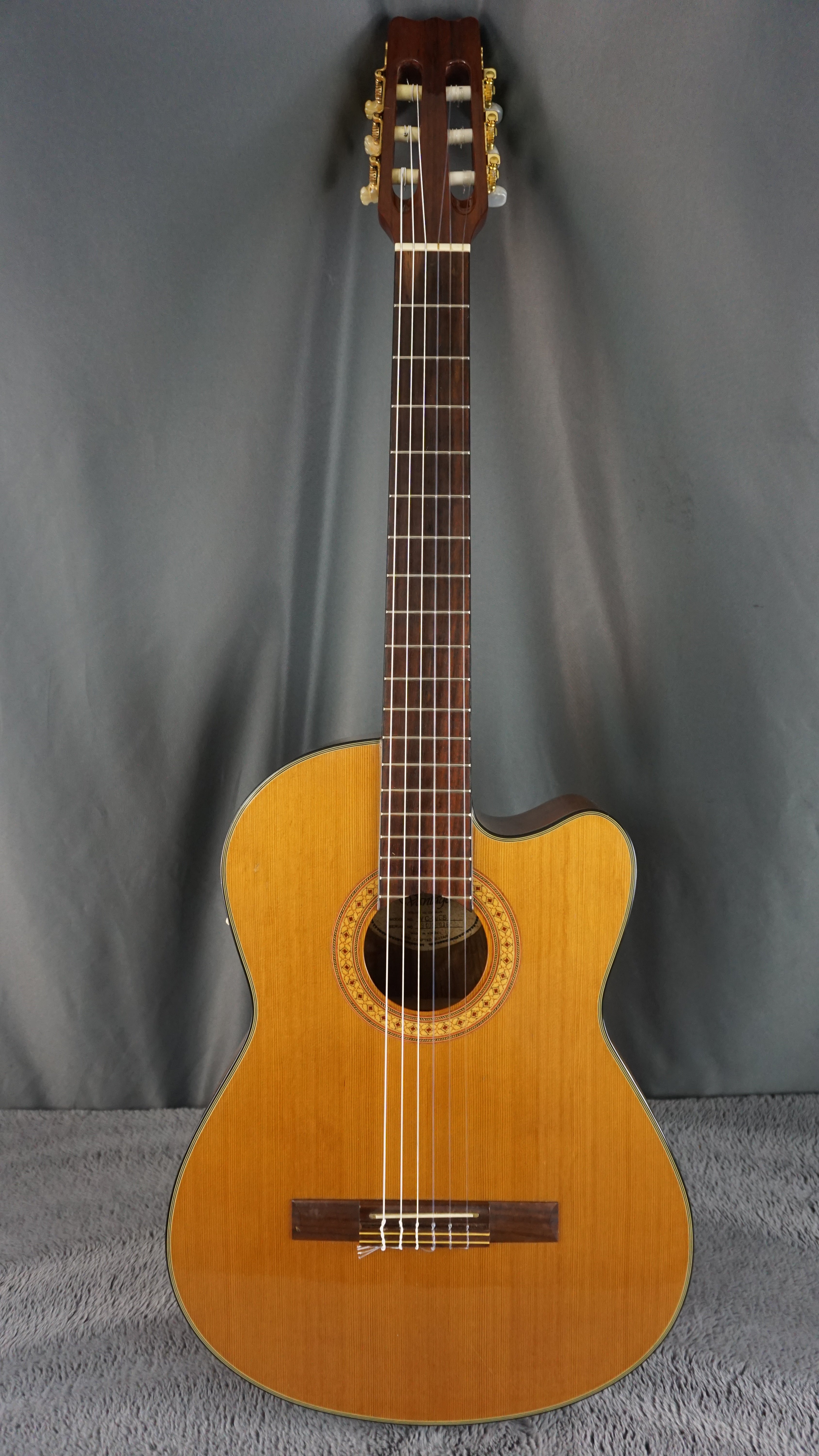 Vantage VC-20CE Classical Guitar w/ Hard Case
