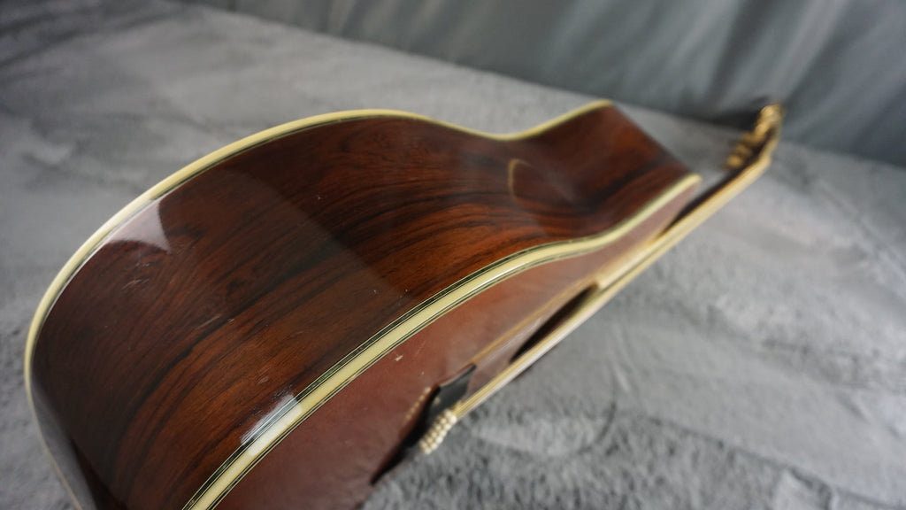 Morris MG-1100 Japan Dreadnought w/ Hard Case