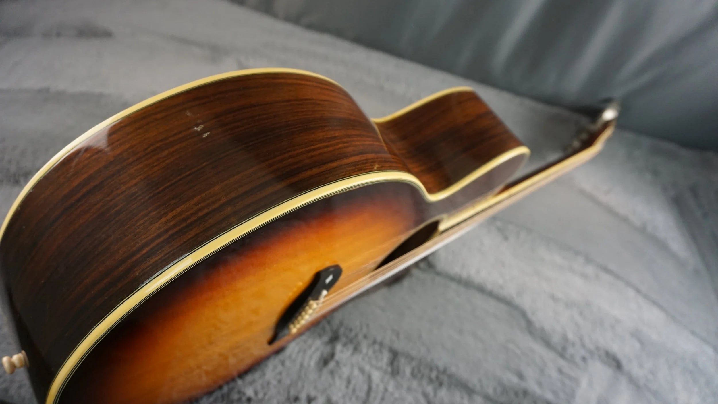 Aria Elecord FE-60 w/ Built-In Electronics w/ Hard Case
