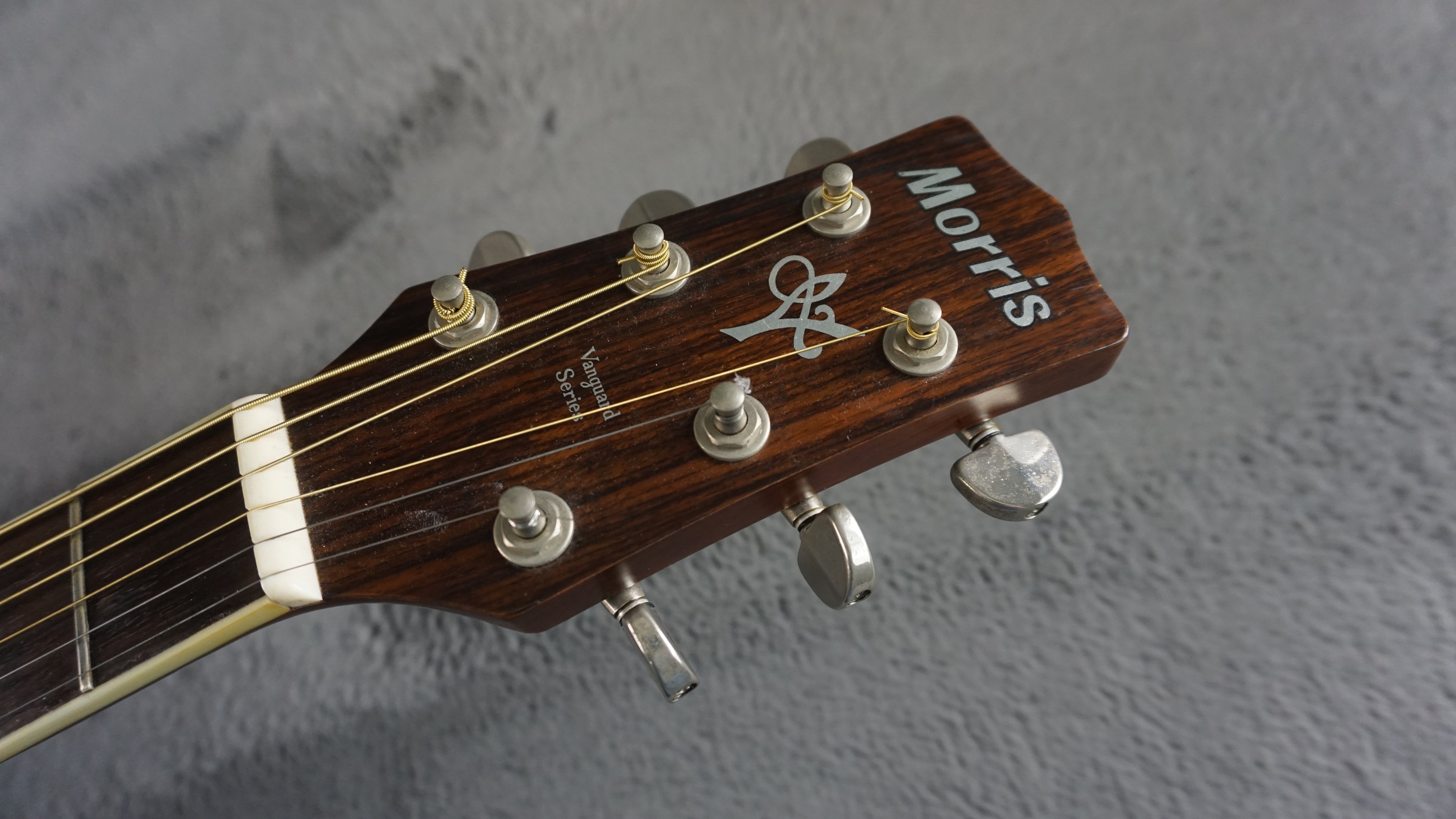 Morris MV-701 Vanguard Series Japan Acoustic