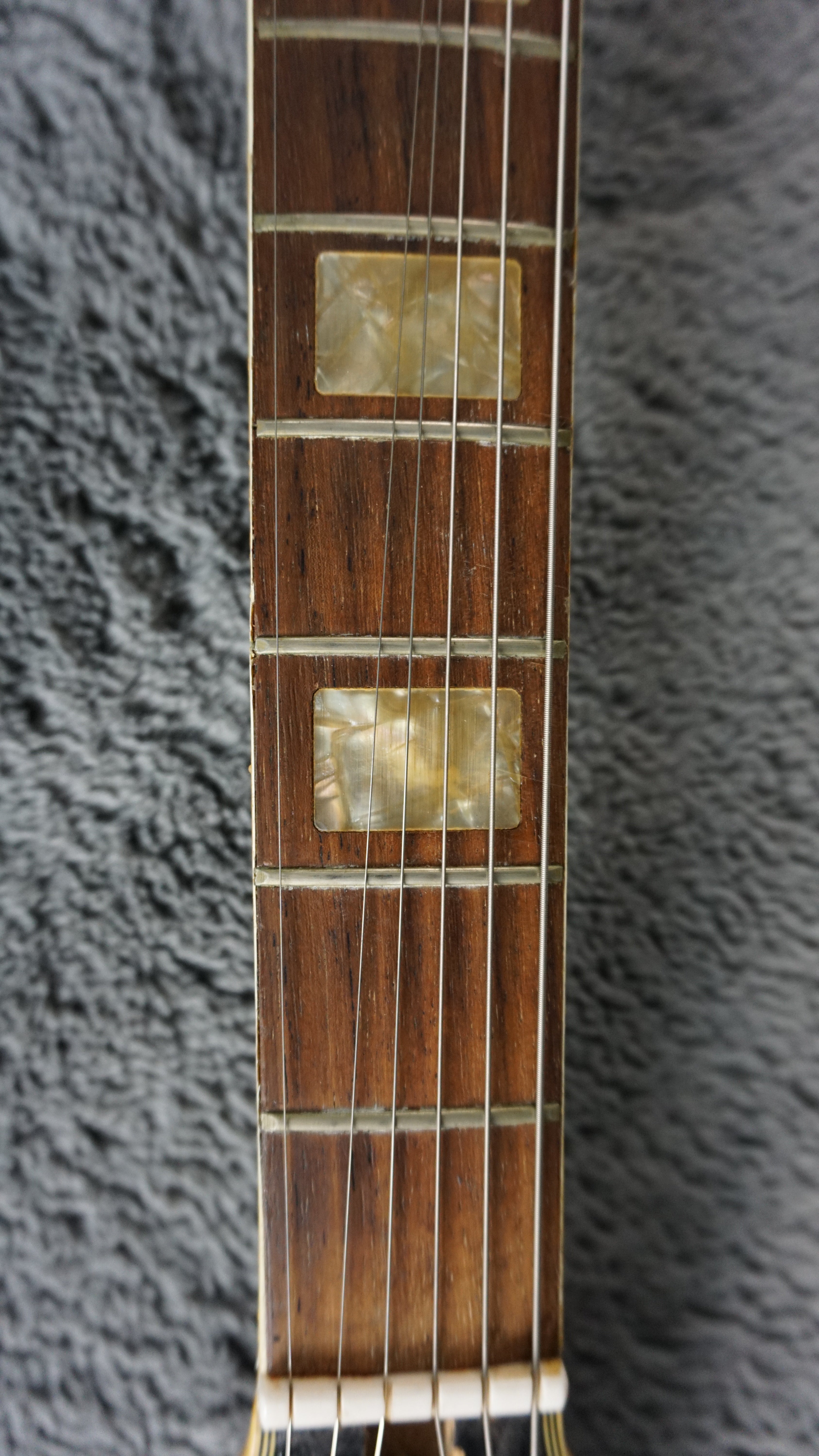 Greco Semi Hollow Body - Black Japan
