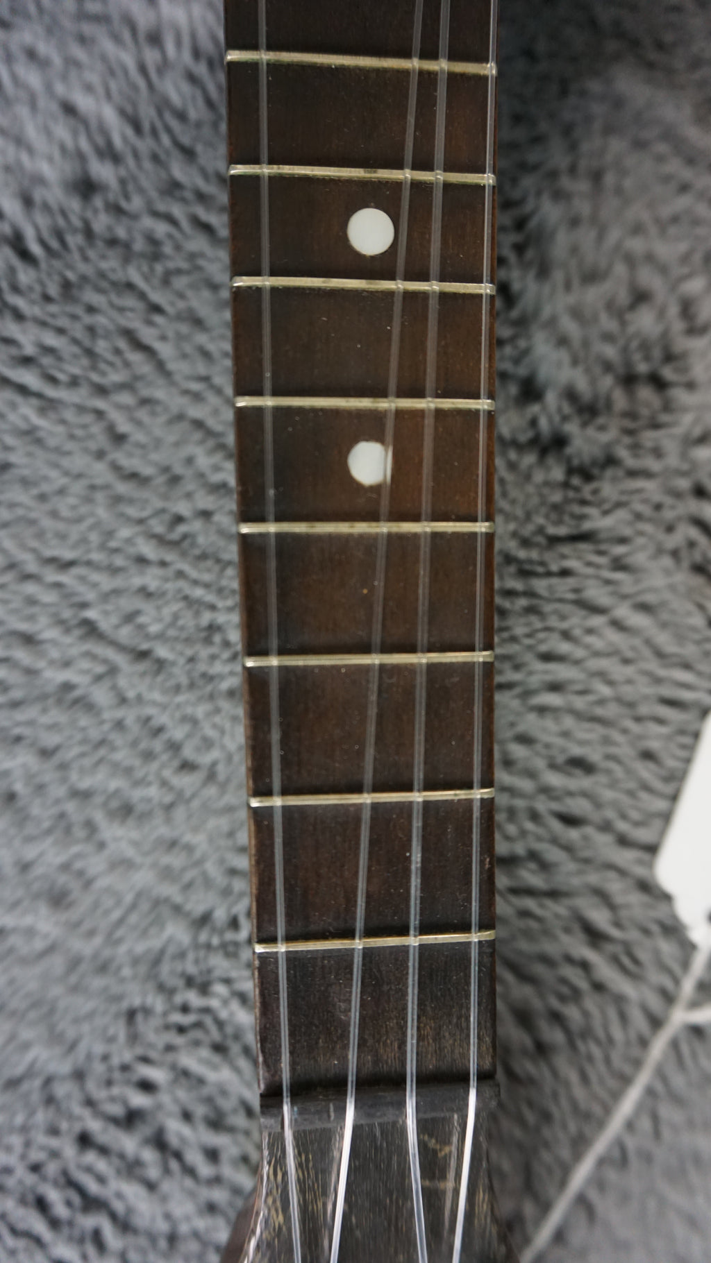 Stromberg Voisinet "The Rose" Banjo Uke 1920's