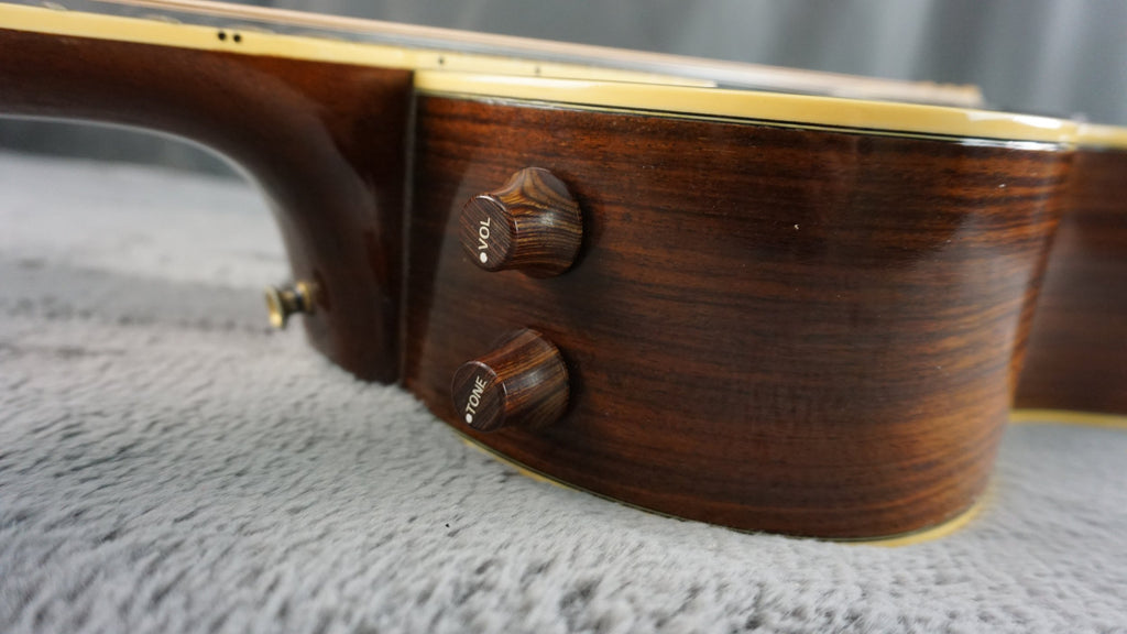 Aria Elecord FE-60 w/ Built-In Electronics w/ Hard Case