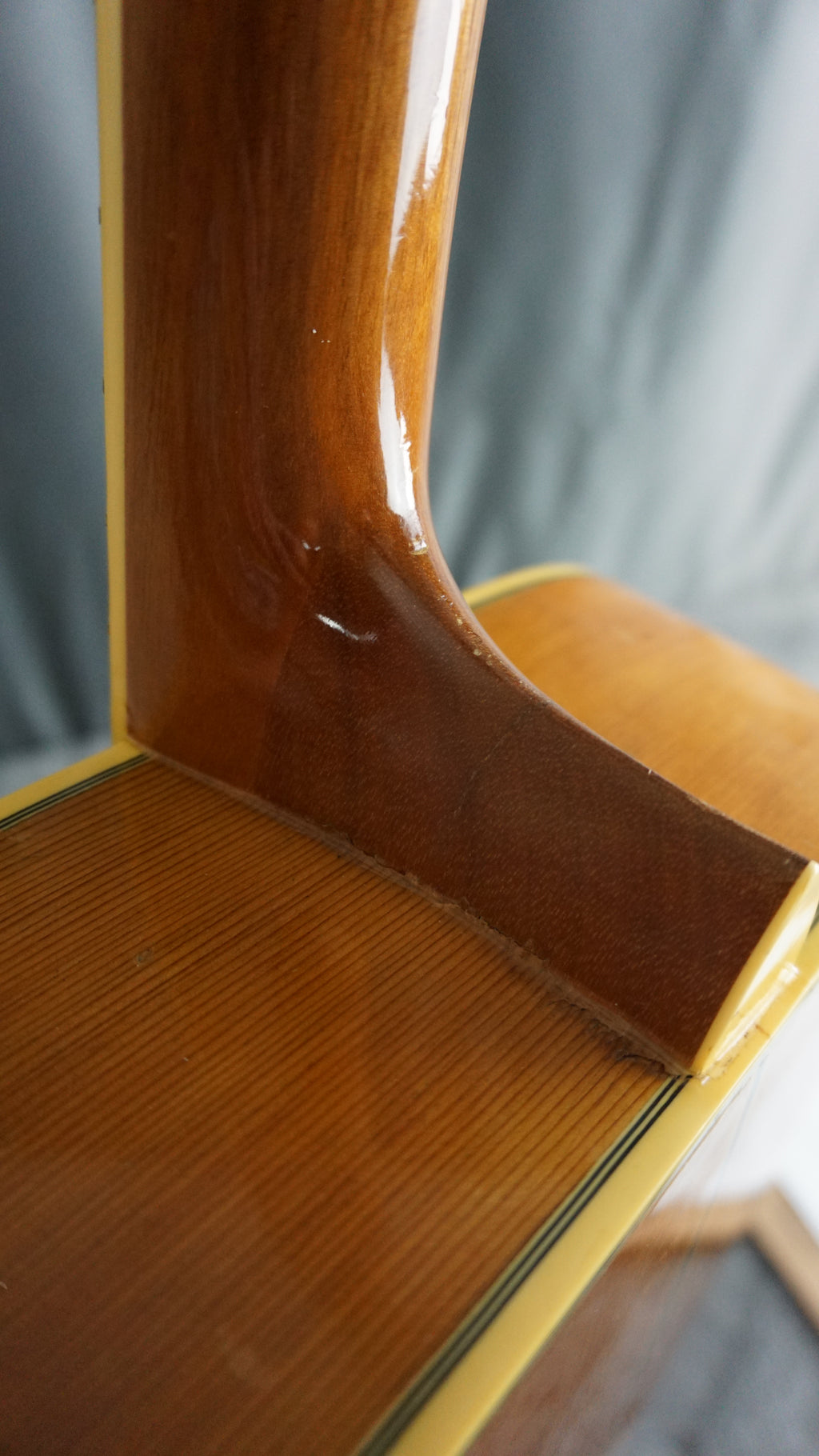 Ibanez NW-30 1983 - Natural Wood all Cedar