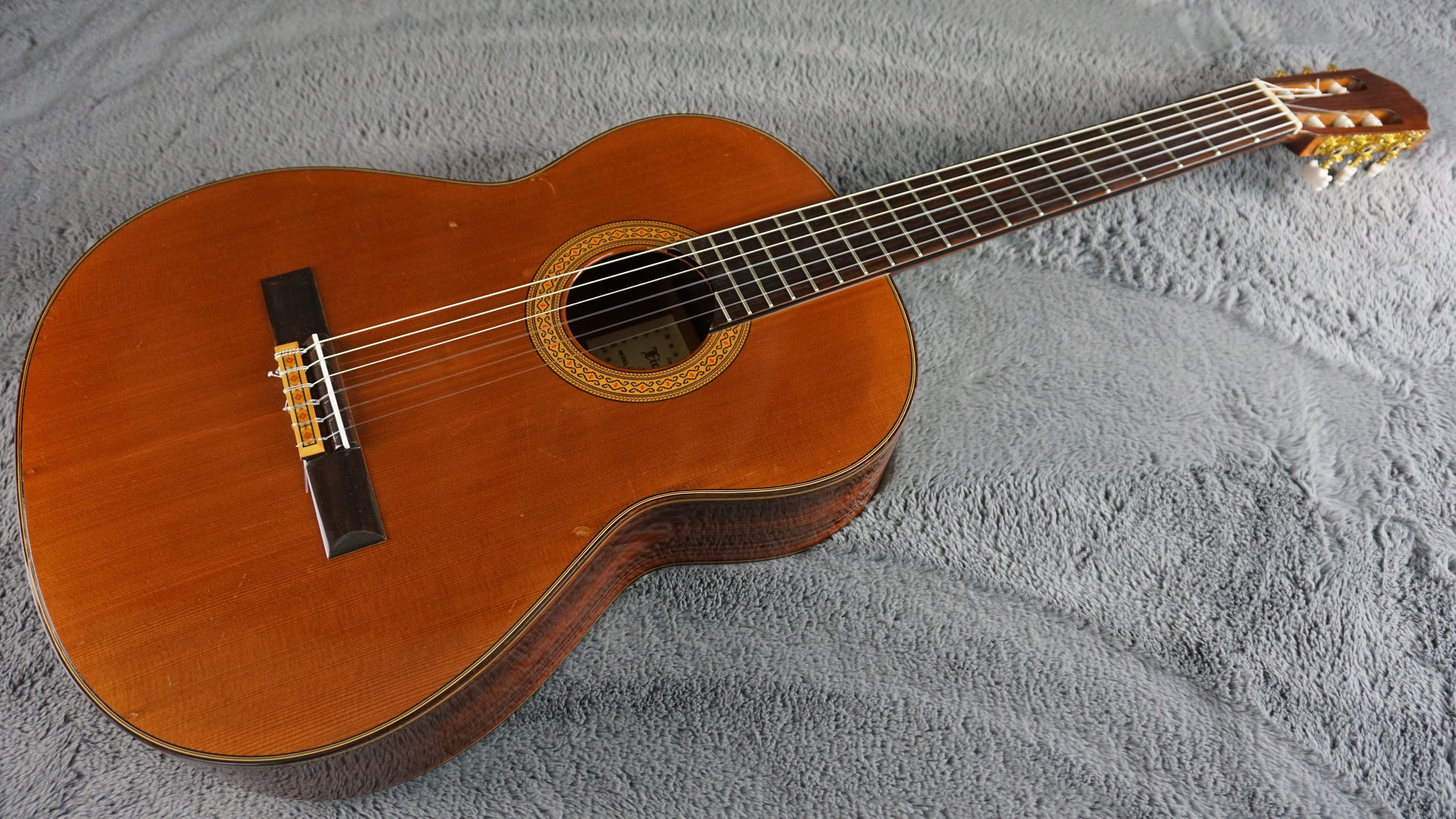 Eichi Kodaira E500 - Cedar Top Japan Classical 1970s