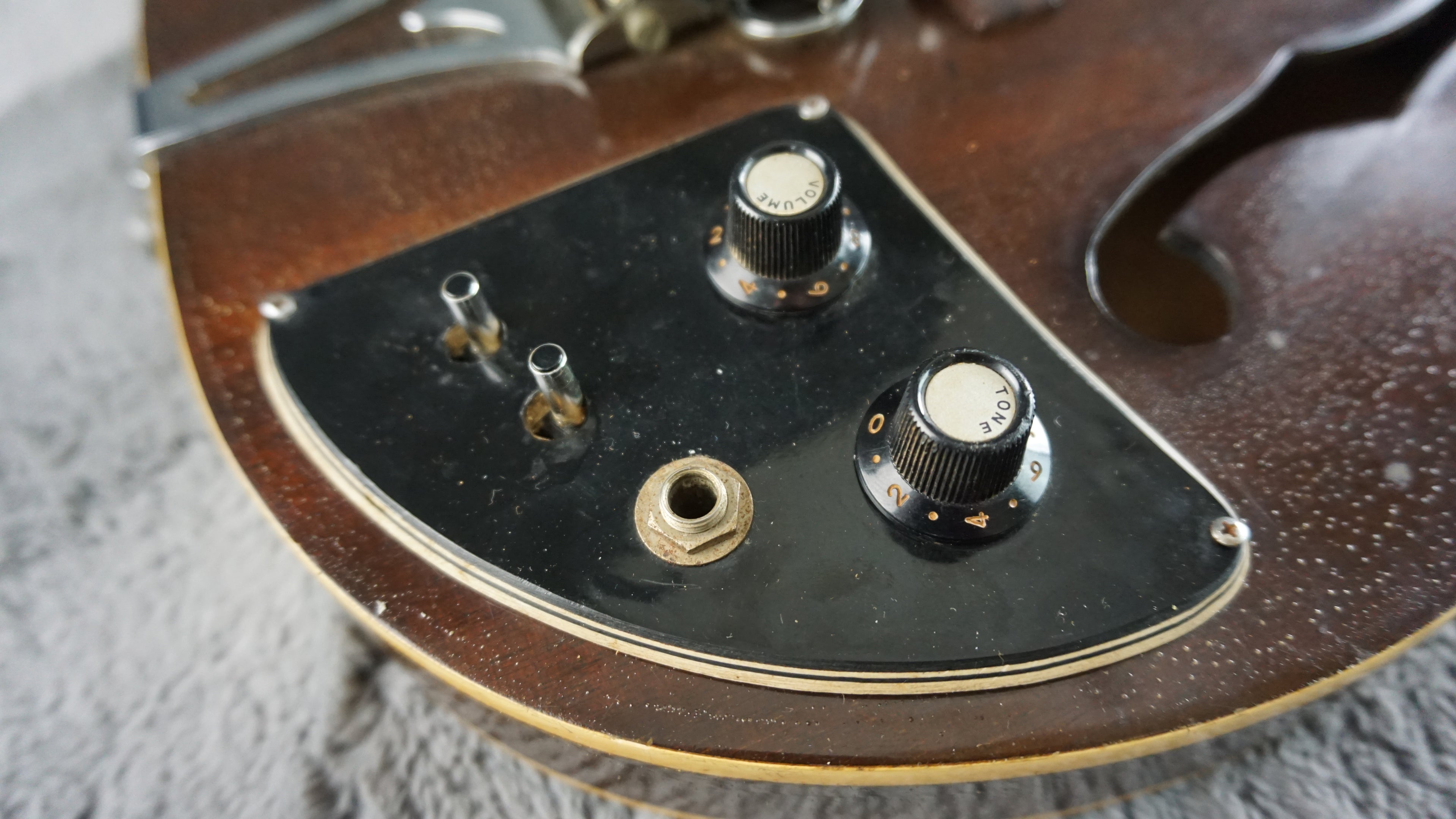 Lero Semi Hollow Body Electric Guitar