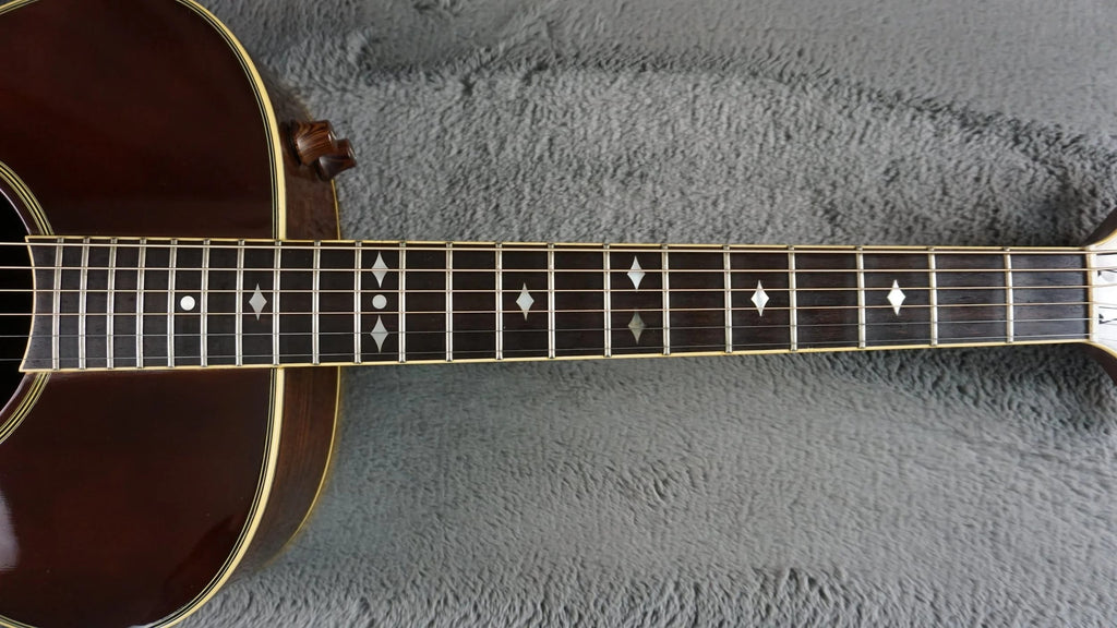 Aria Elecord FE-60 w/ Built-In Electronics w/ Hard Case