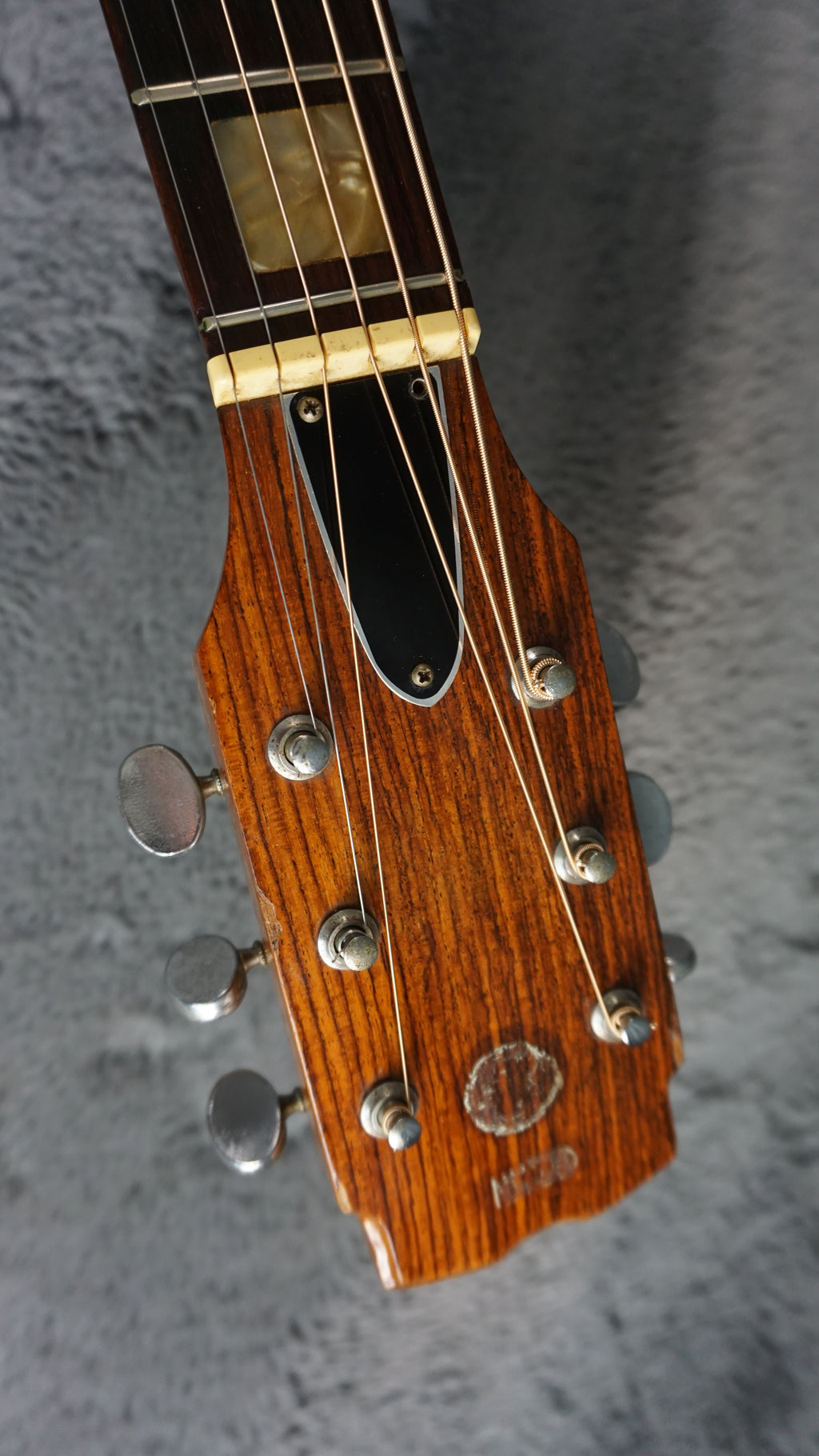 Tokai Hummingbird 180F Folk Guitar Japan Acoustic