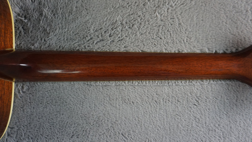 Morris MV-701 Vanguard Series Japan Acoustic