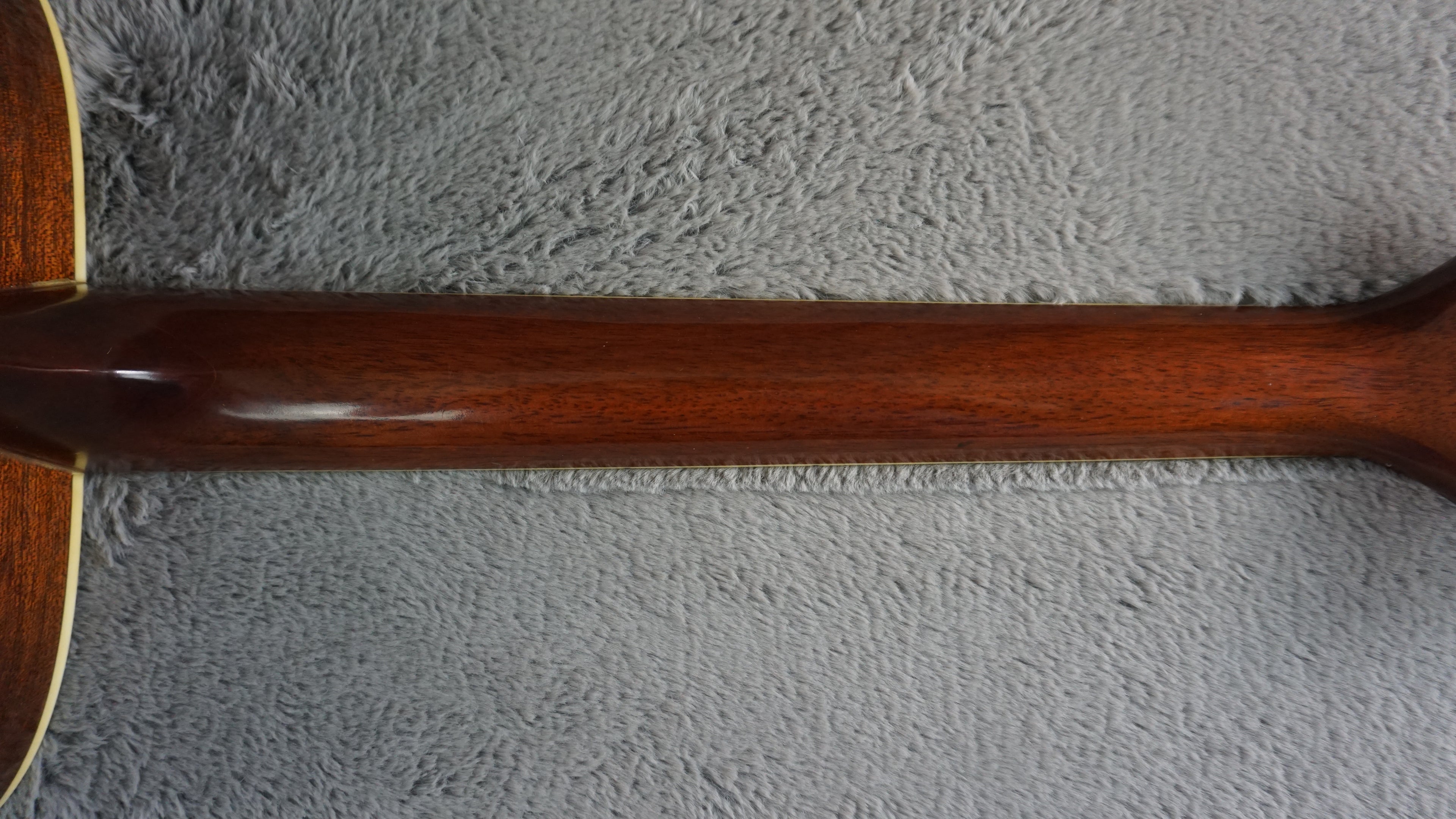 Morris MV-701 Vanguard Series Japan Acoustic