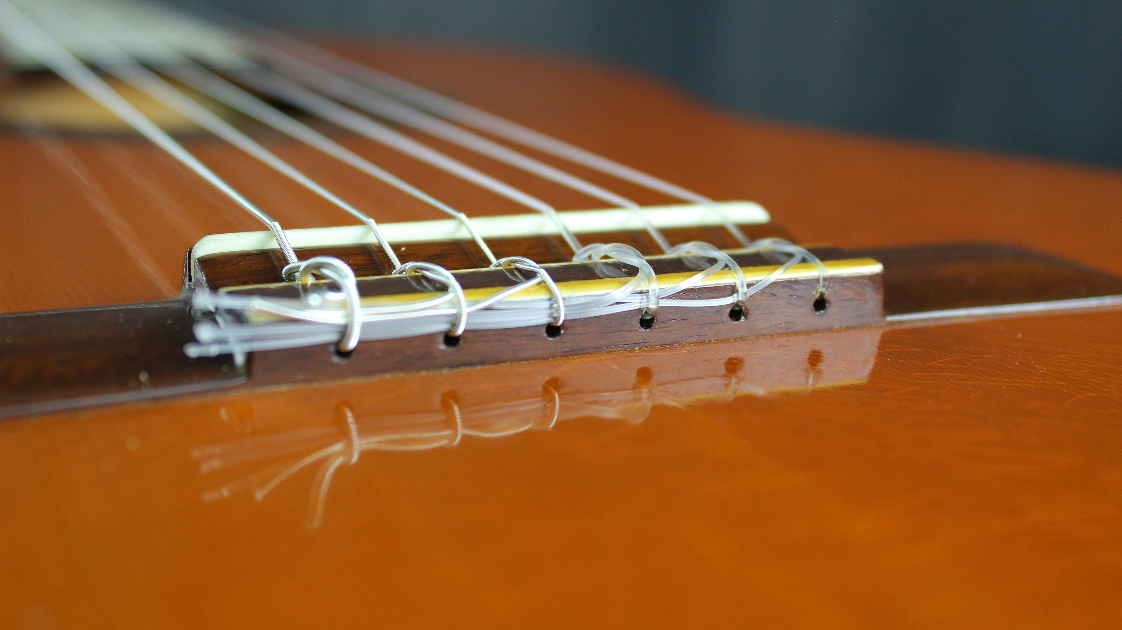 Suzuki No. 36 Japan Classical w/ Hard Case