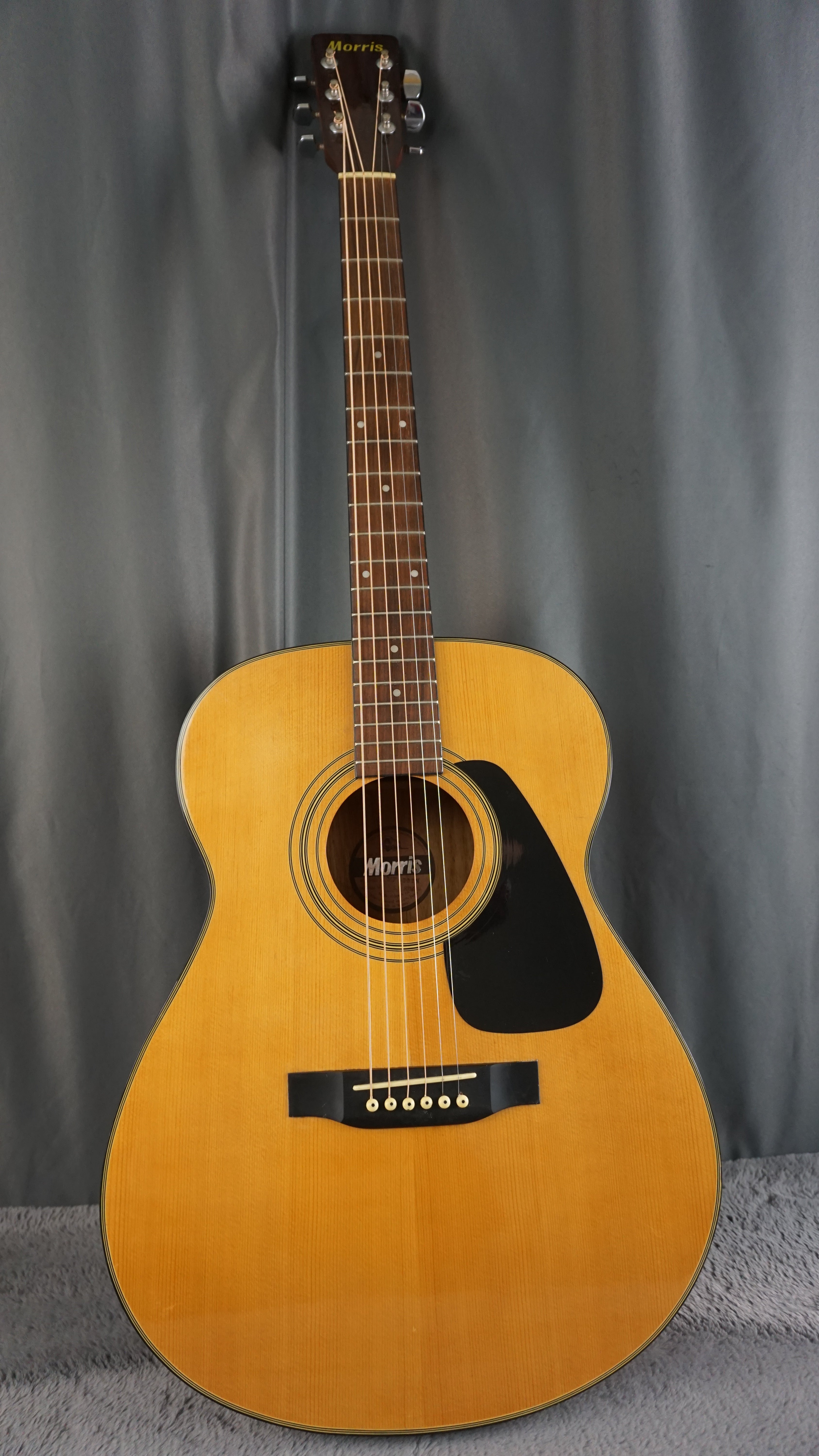 Morris MF-202N Japan Acoustic