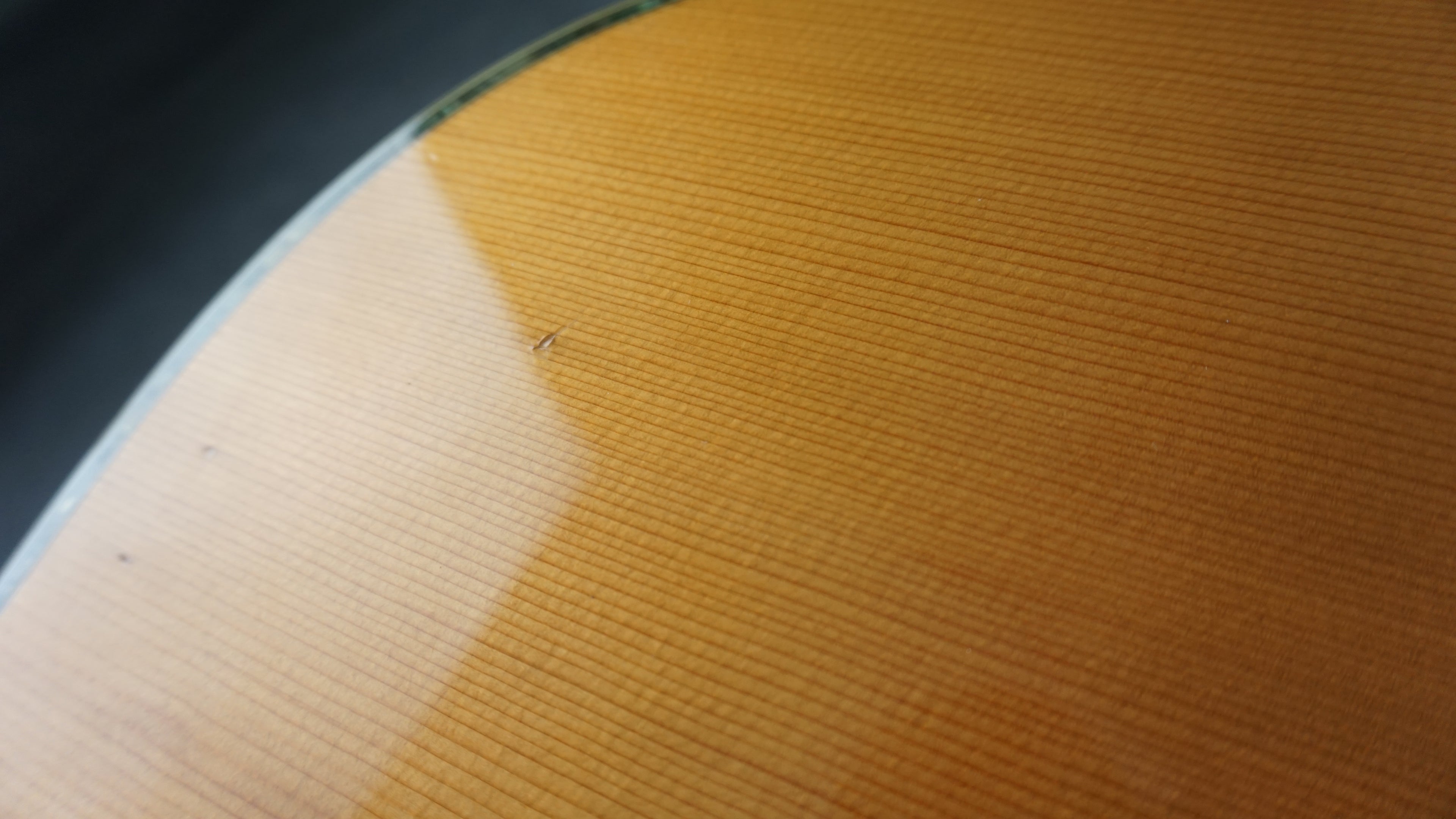 Morris B-60 MIJ 12-String Acoustic w/ 3-Piece Rosewood Back w/ OHSC