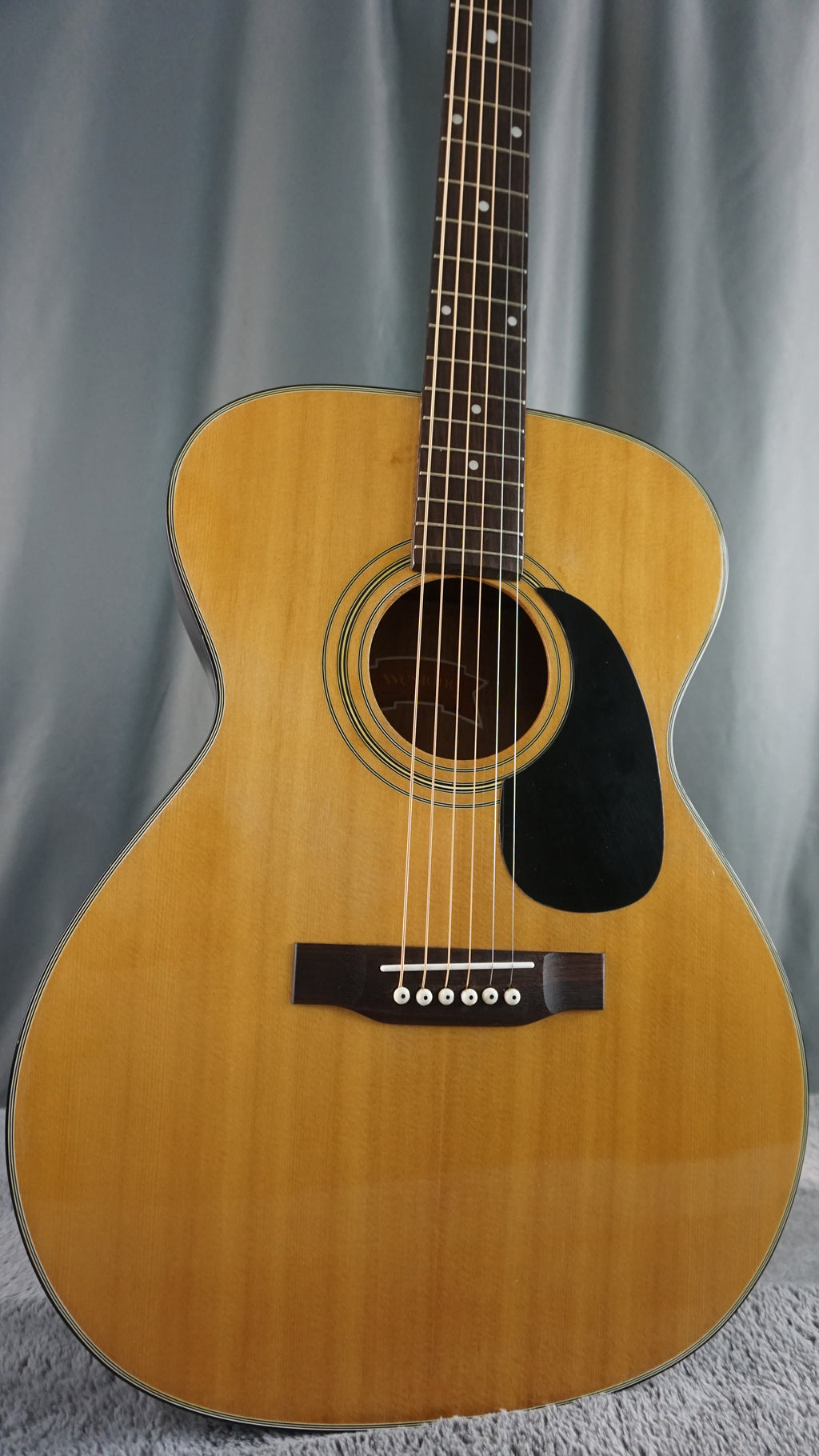 Westone F-13 Japan Acoustic