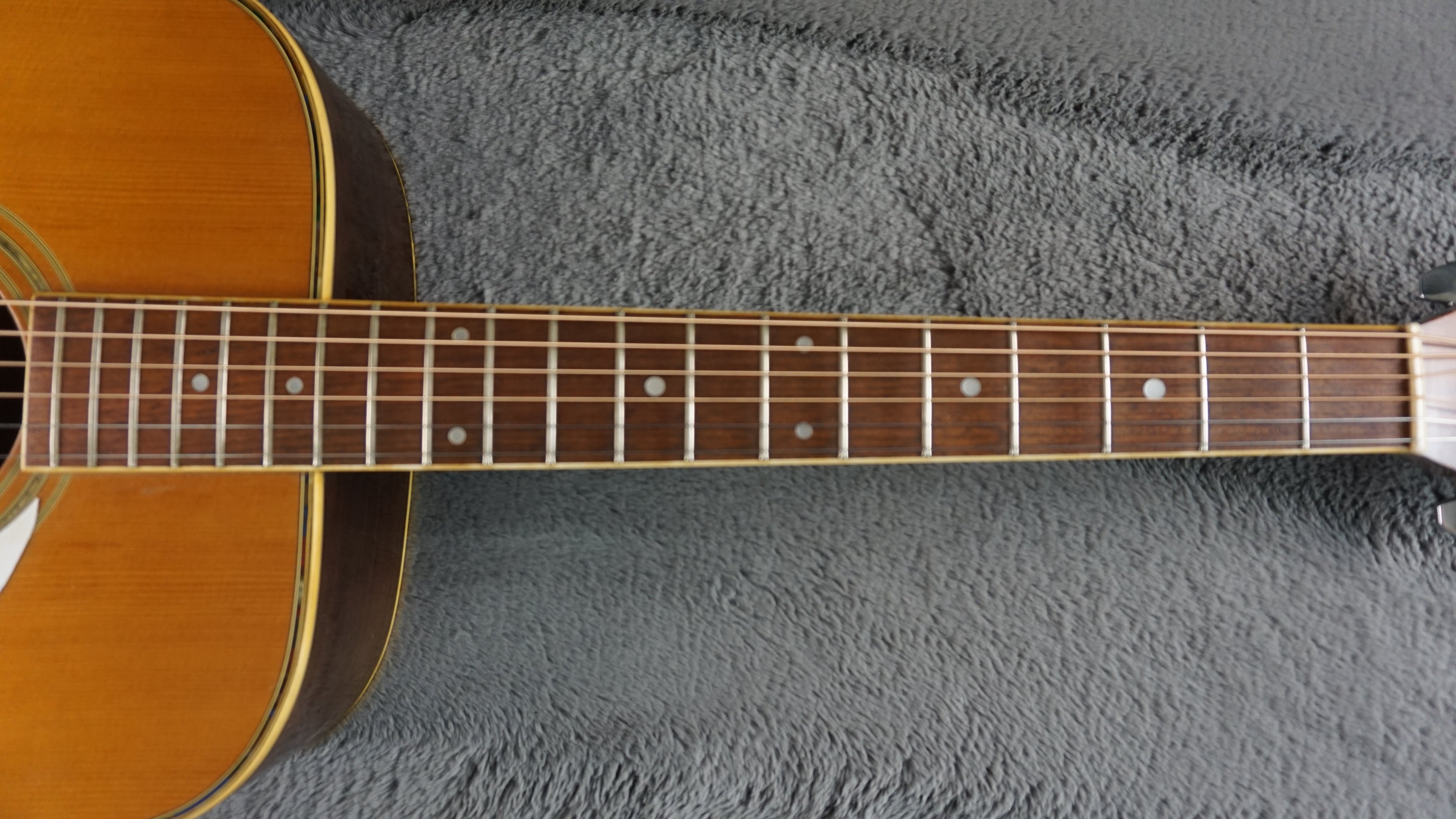 Morris W-35 Special Japan Acoustic Guitar