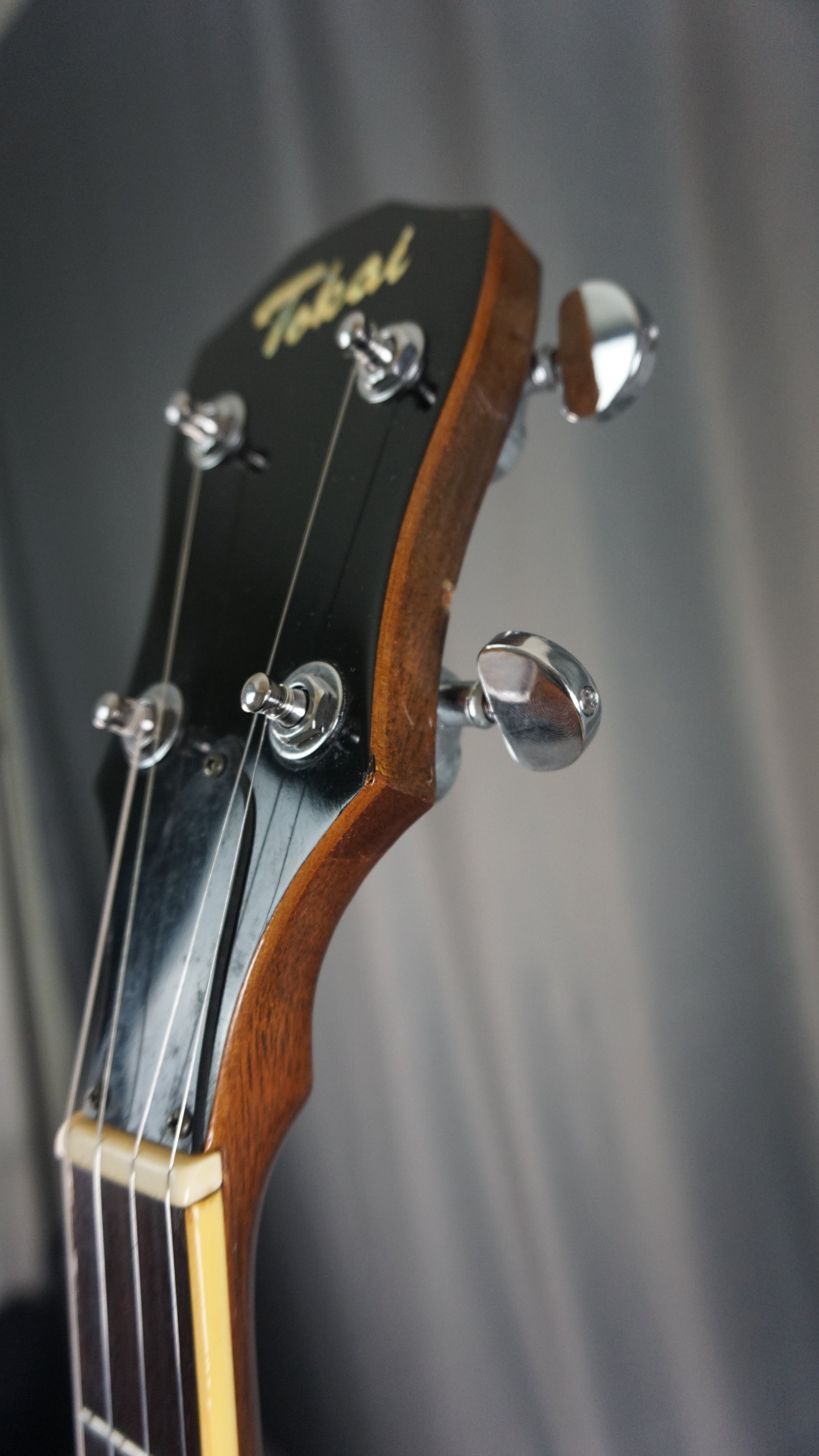 Tokai T400R 1976 5-String Banjo Japan