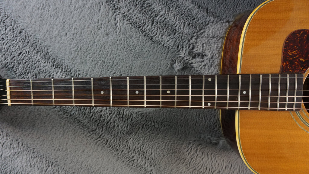 Temmas Nashville N-40D - Natural Acoustic Guitar