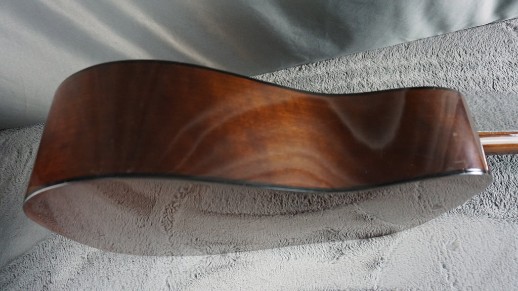 Daion D-B-55-TSB - Tobacco Sunburst Japan