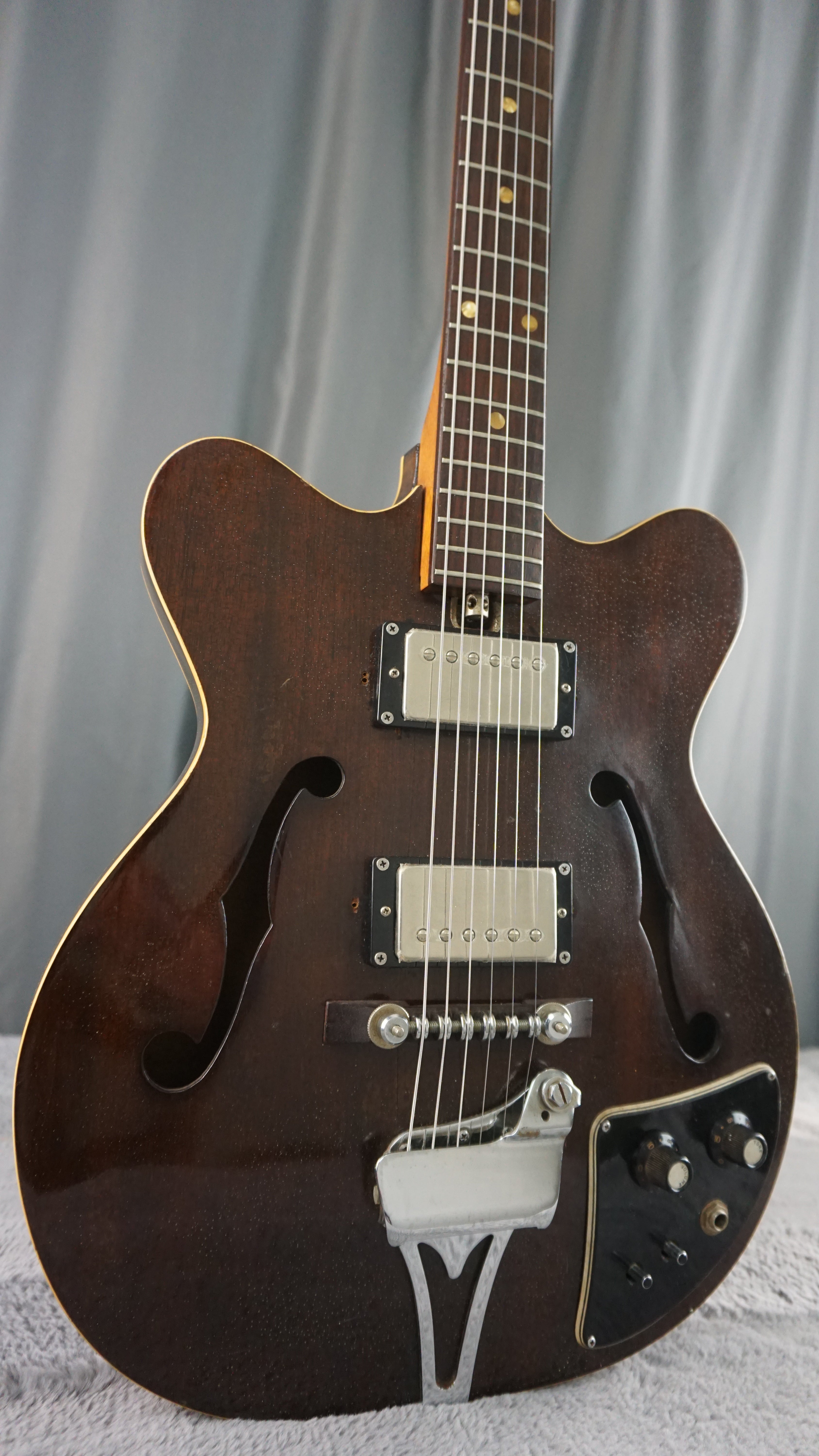 Lero Semi Hollow Body Electric Guitar