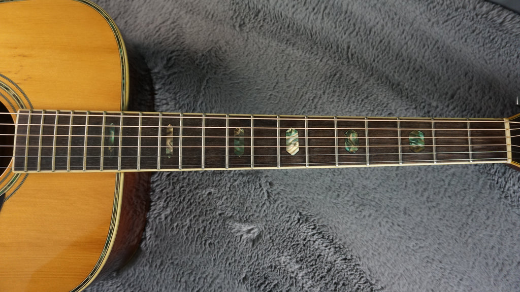Morris W-40 Japan Solid Spruce Top w/ Fishman Electronics